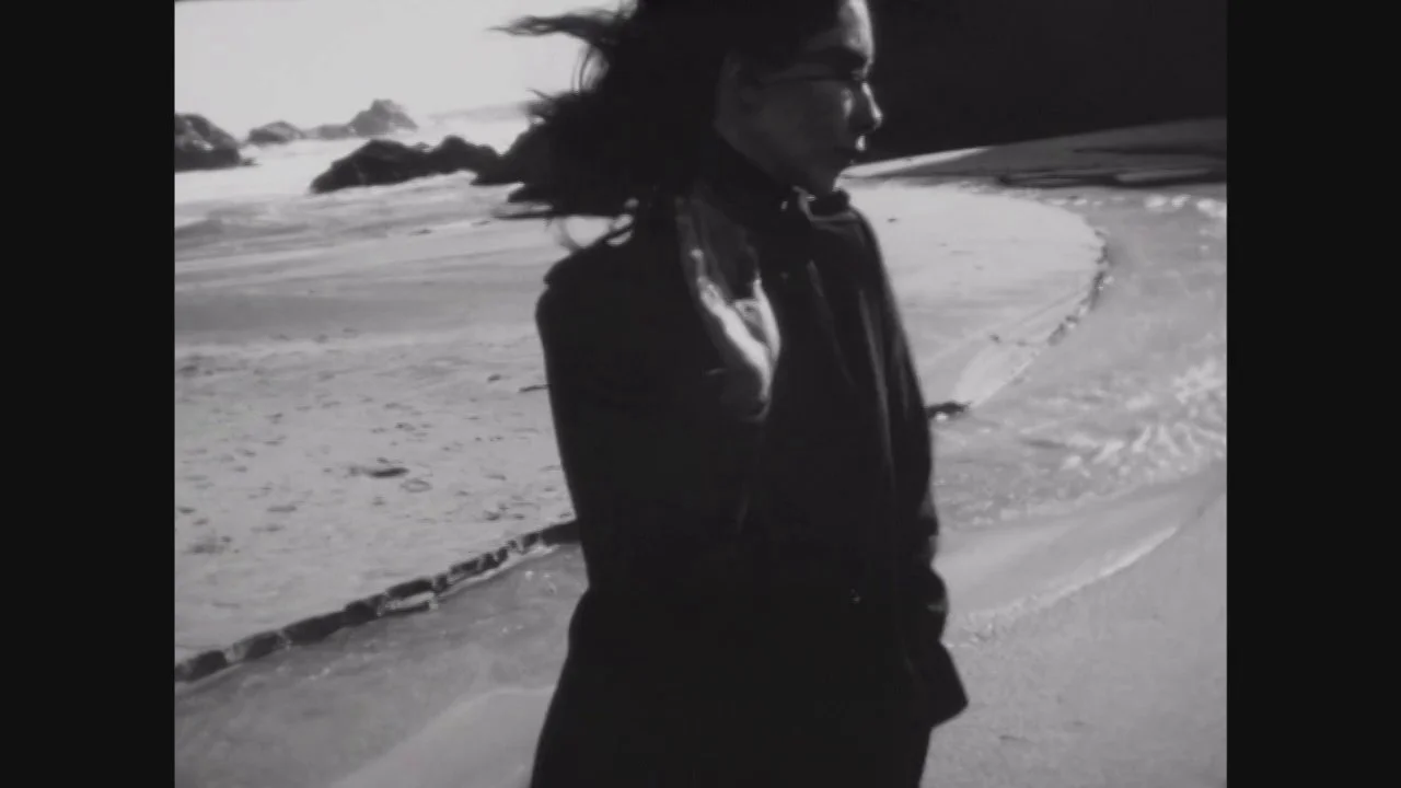 Cory Becker "Under a Tree"