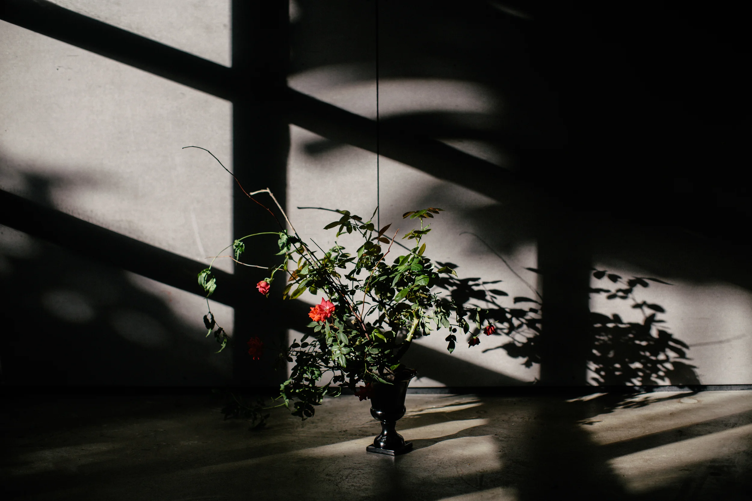  Photo by Erika Delgado 