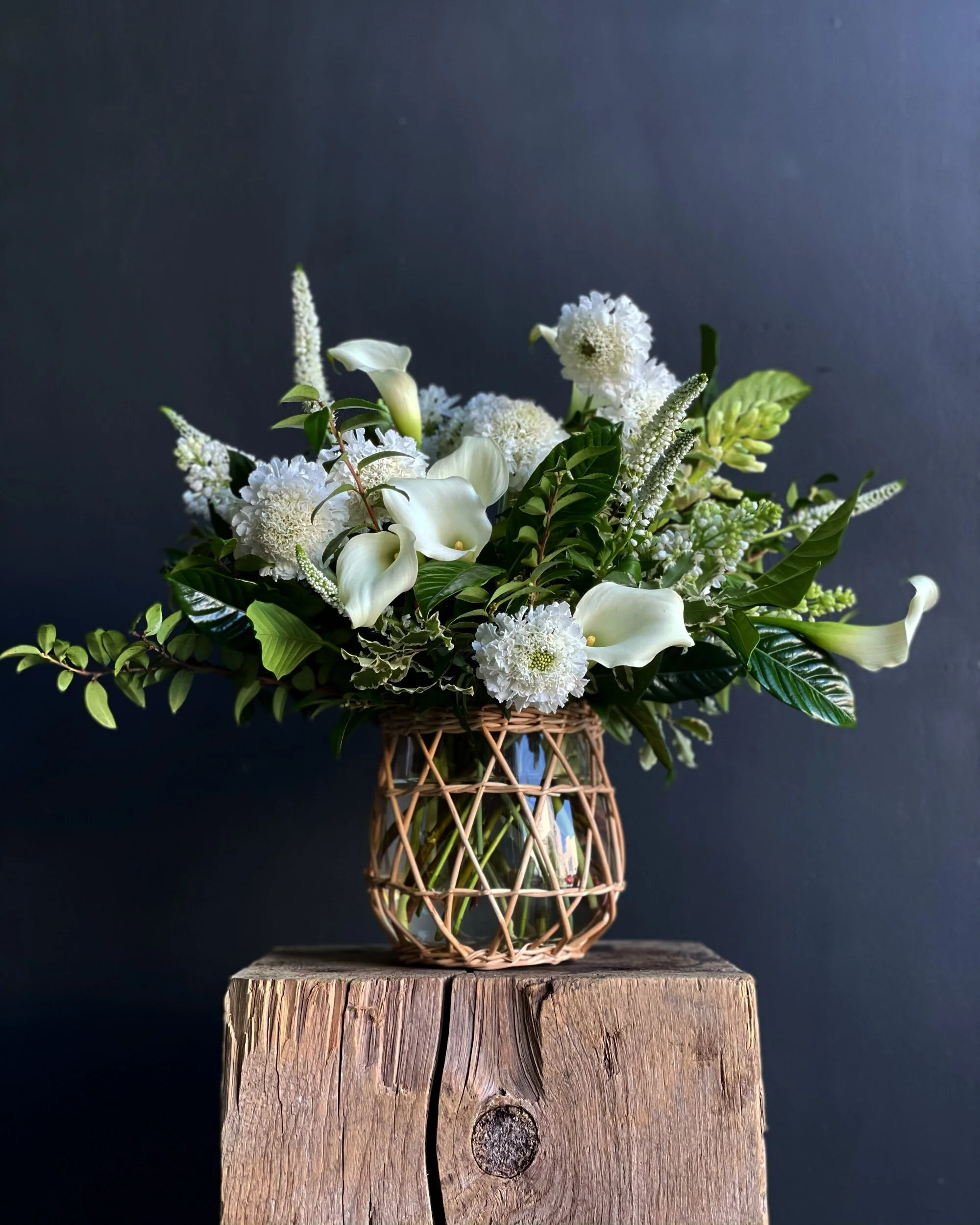 FB5916A5-6985-4972-B908-7061A3F5F2E2