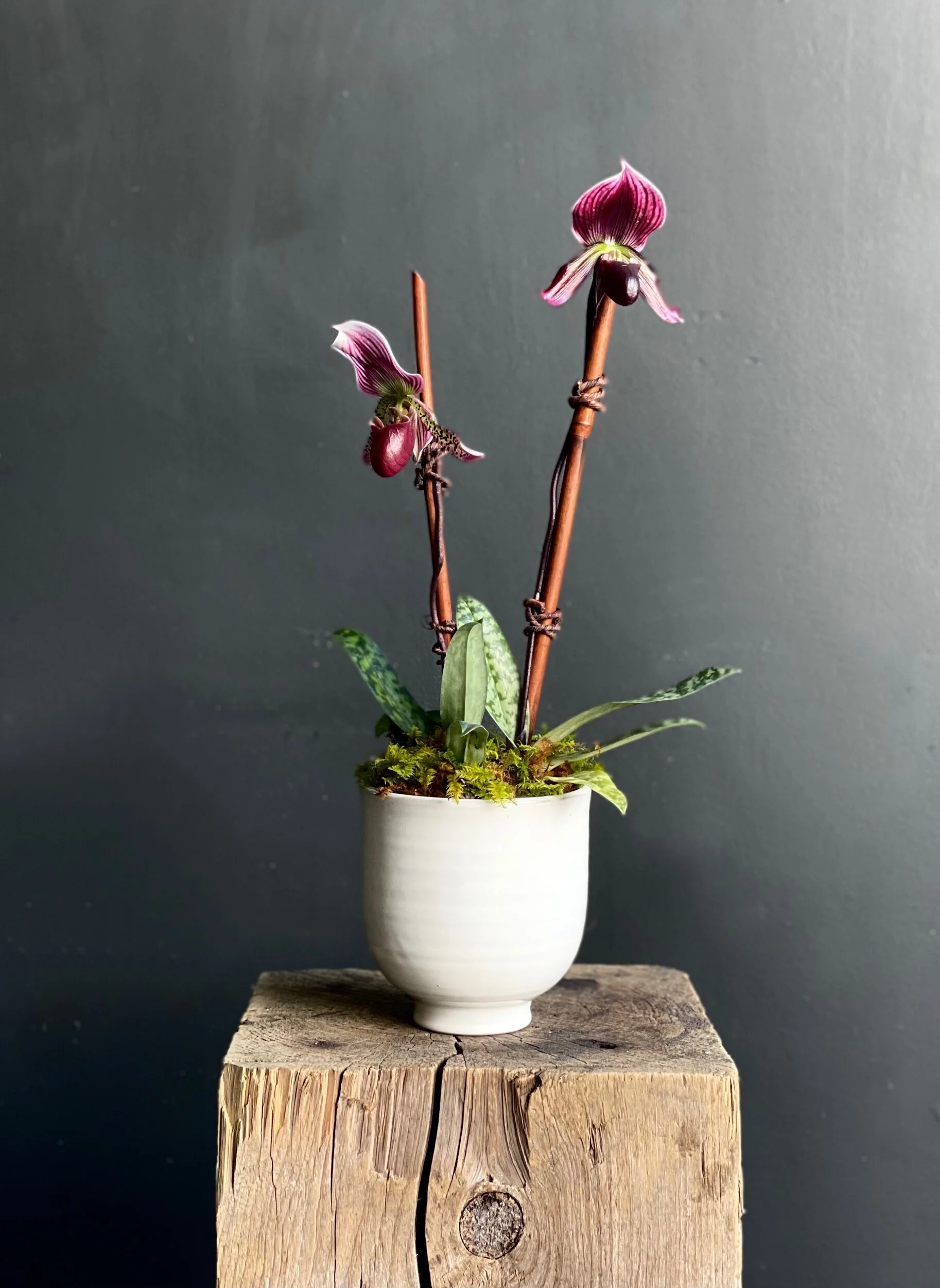 E6609FC1-3532-4D89-8D4D-B70F3B1E4BD7