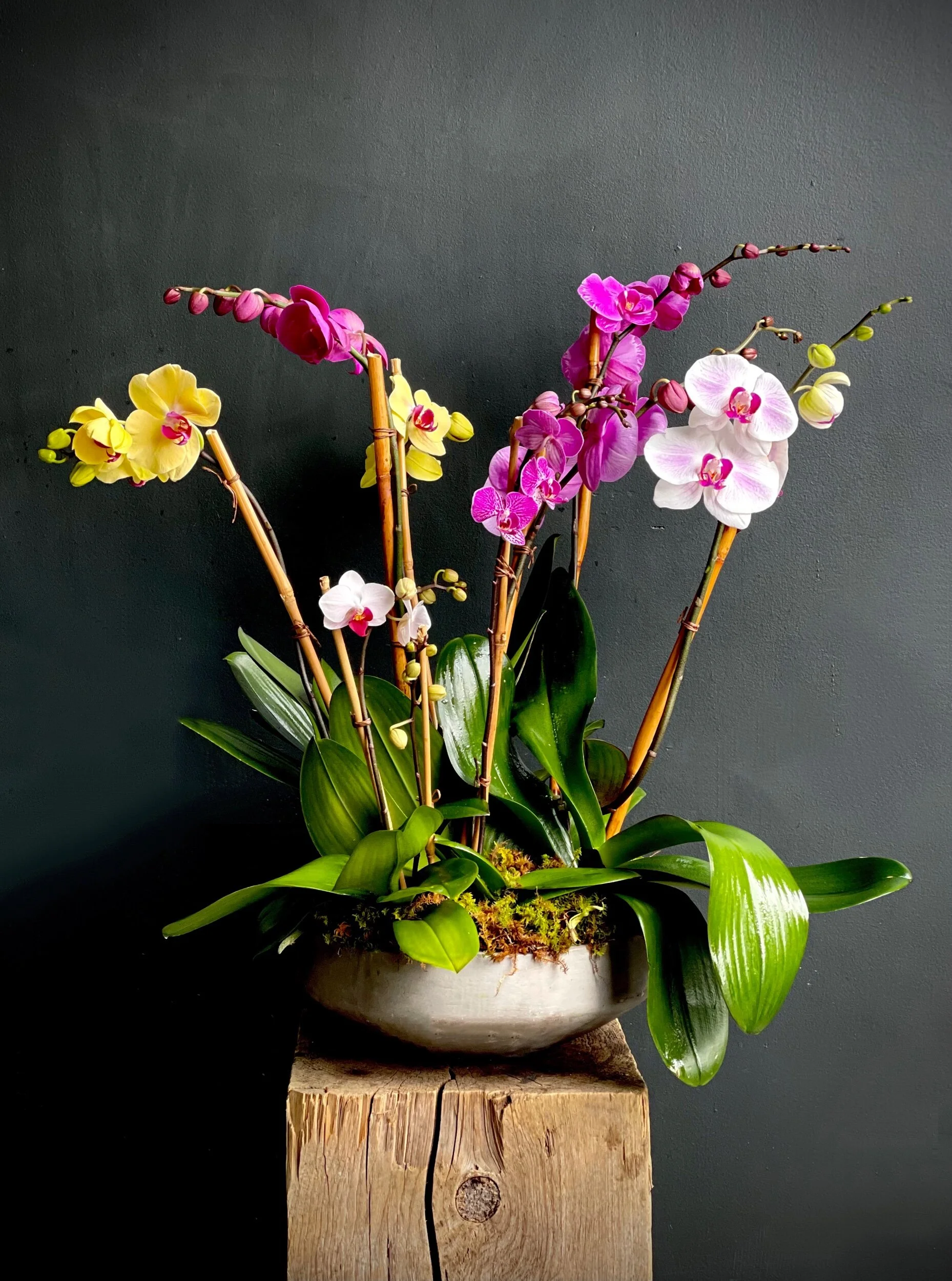 882C4C8A-28B6-41E0-86AD-FB8C77DDB27C