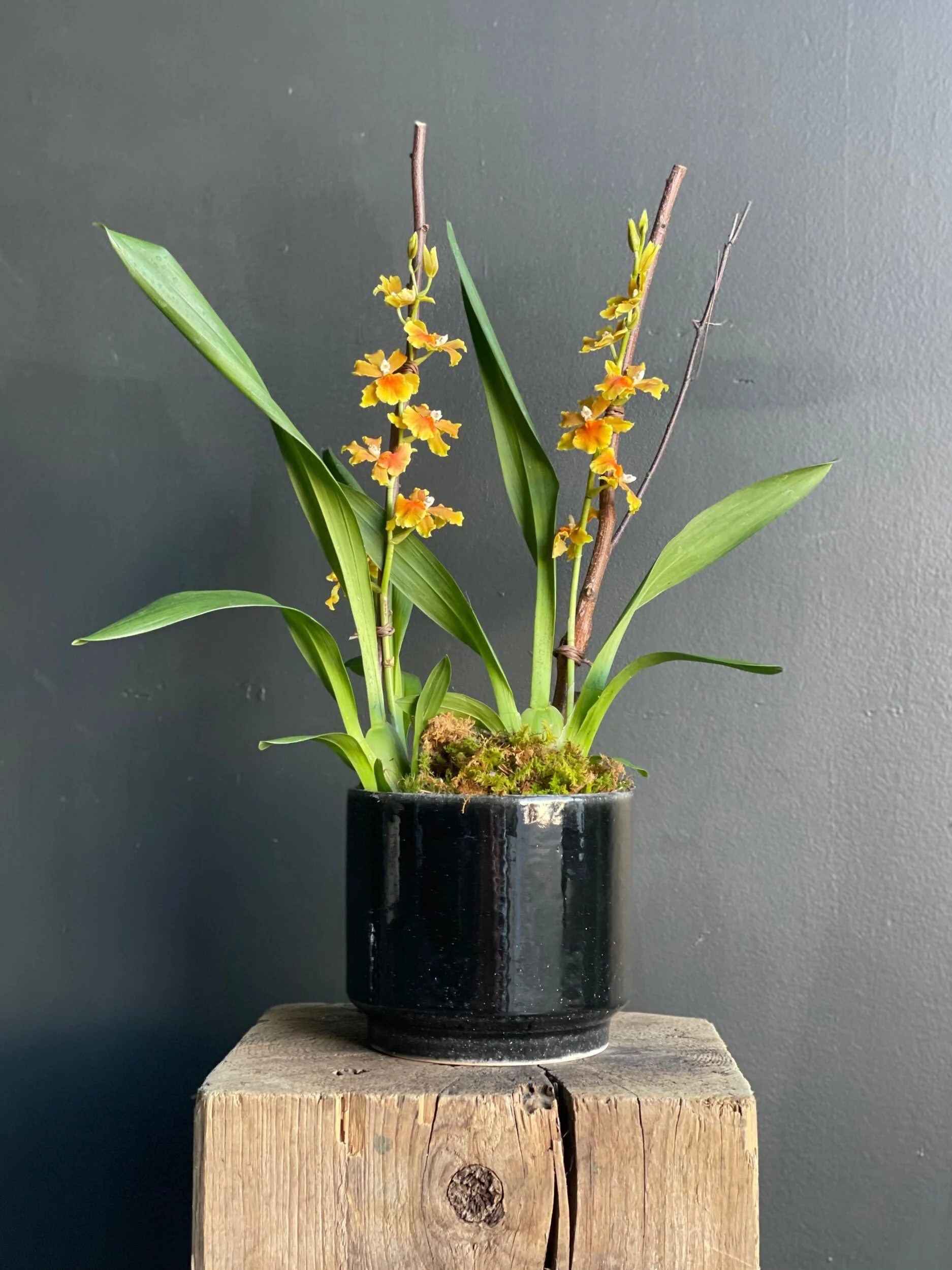 3CC587F5-CB7E-4429-9F60-128AB28F1454