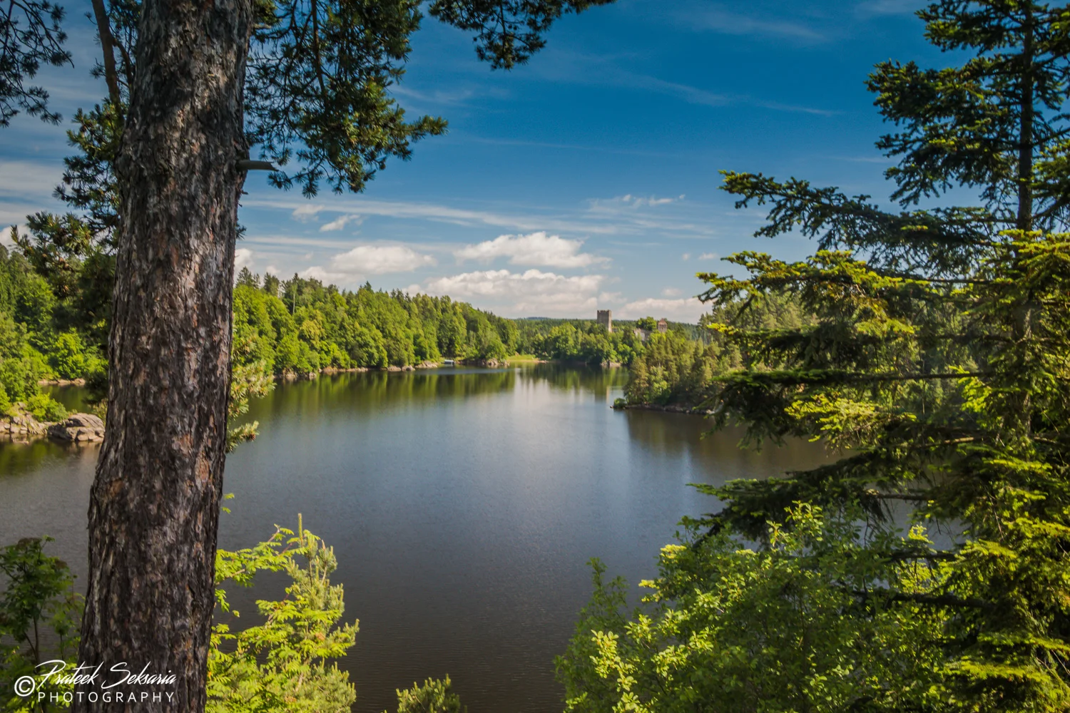 _MG_6740.jpg