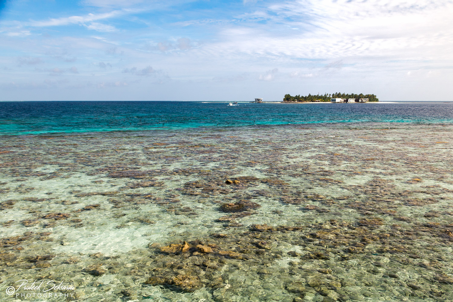 IMG_1855-Edit.jpg