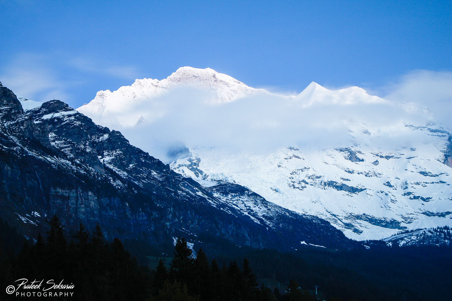 _MG_3680.jpg