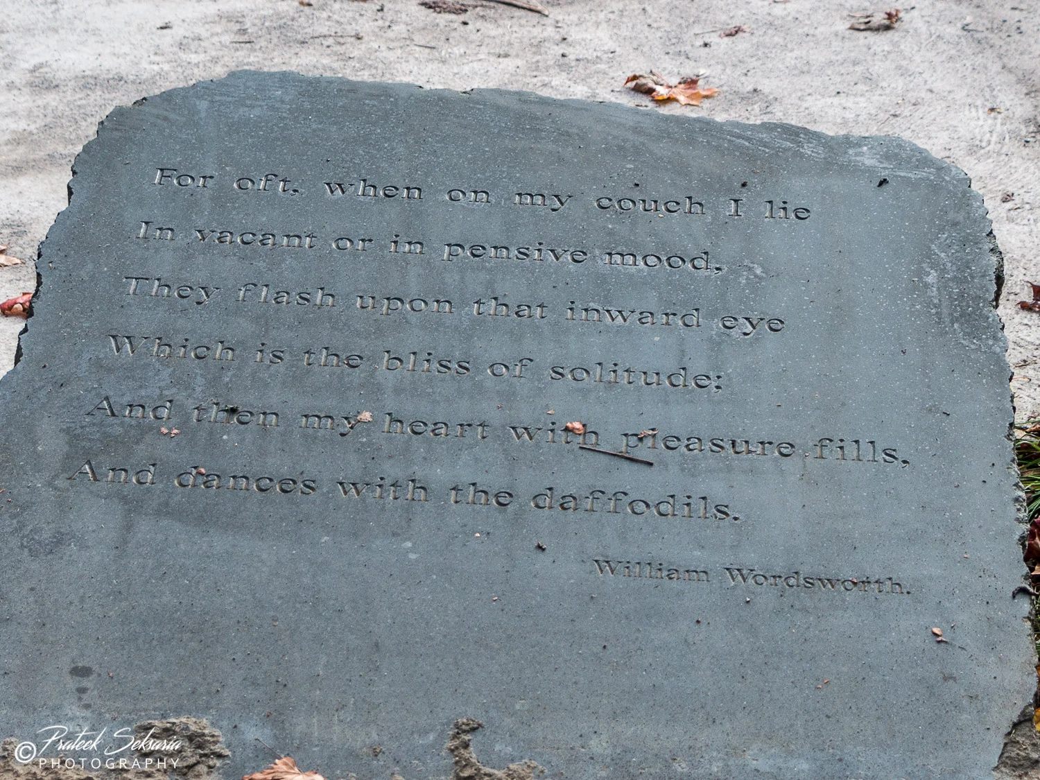 _MG_5546.jpg