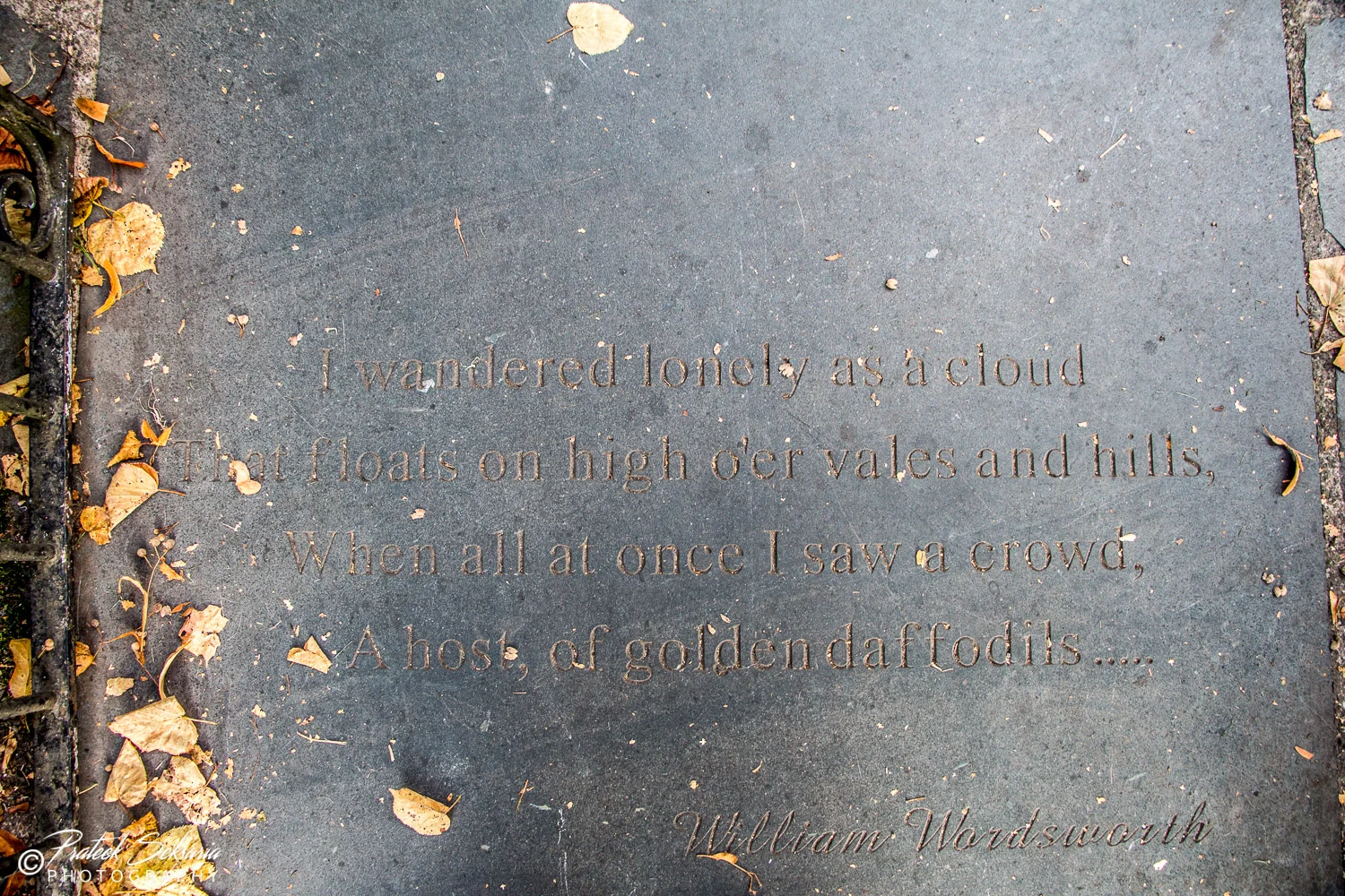 _MG_5555.jpg
