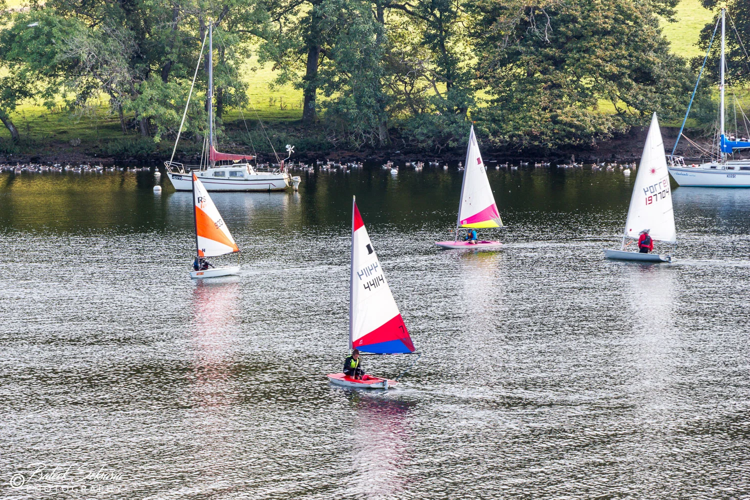 _MG_5648.jpg