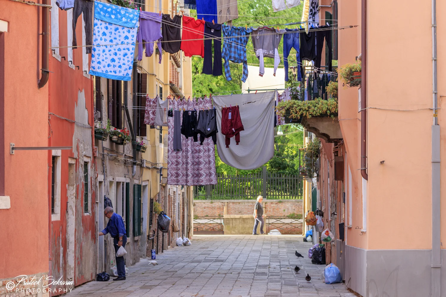 Venetian Dryers!