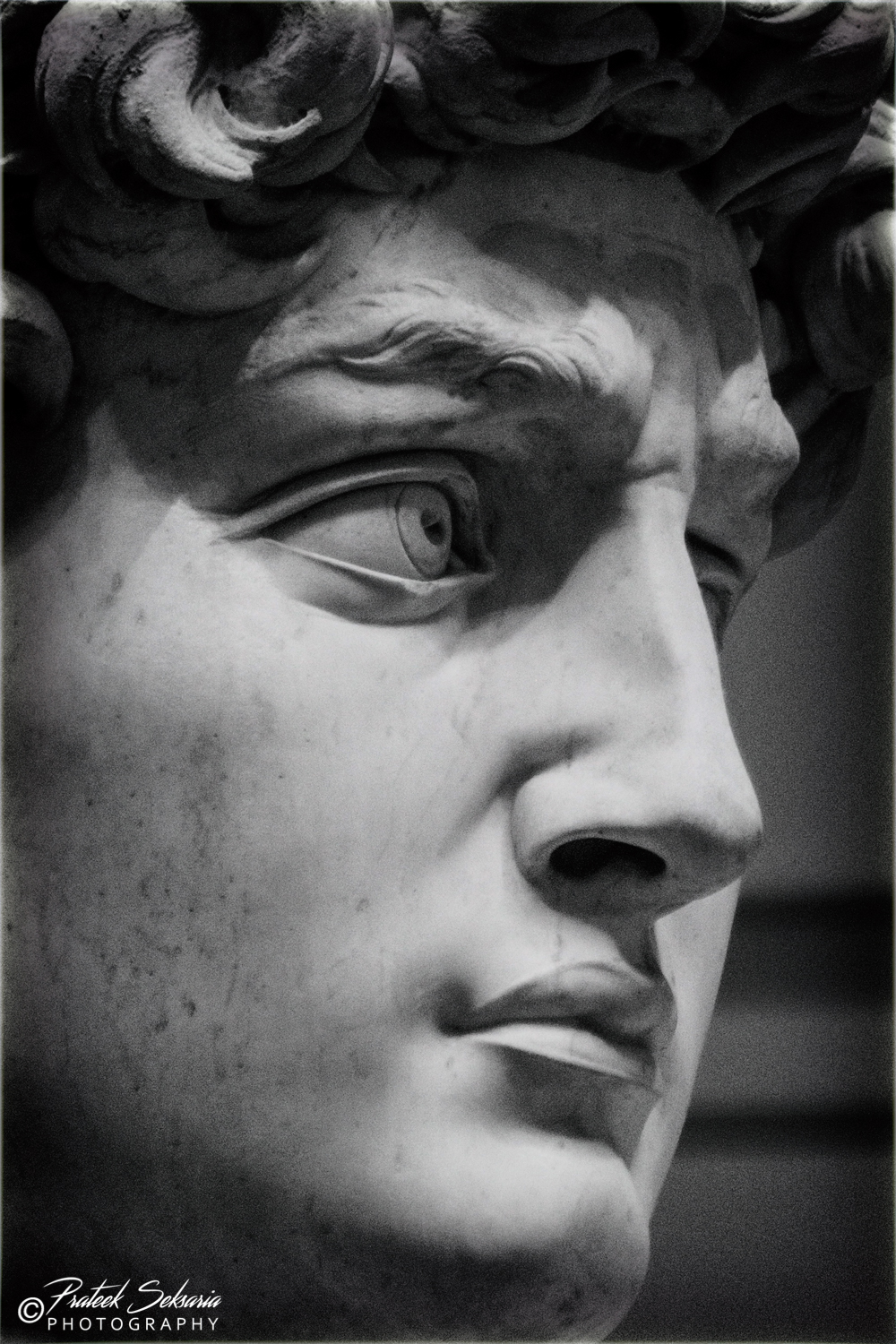Michelangelo's David