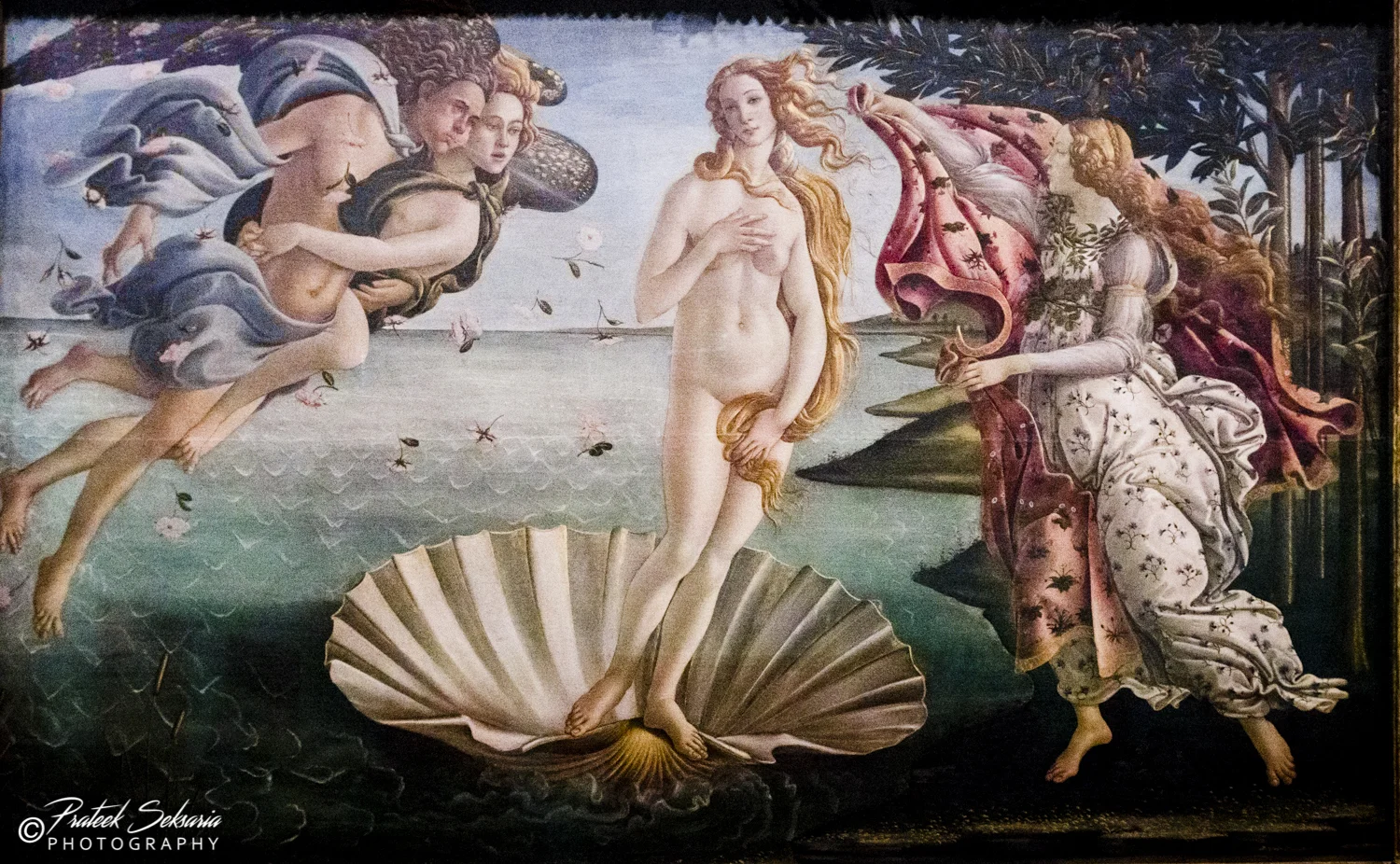  Birth of Venus by  Sandro Botticelli