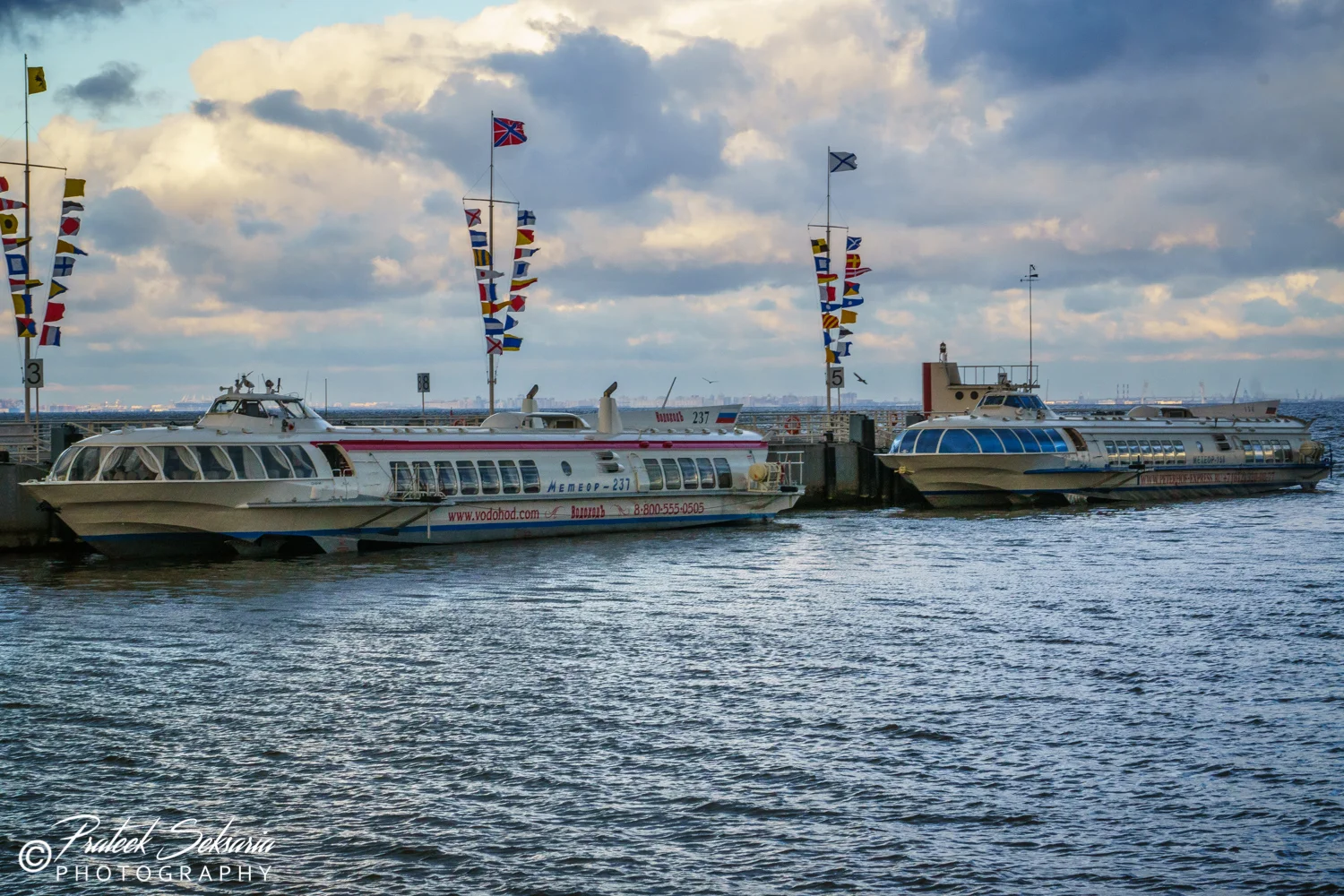 _DSC7873.jpg