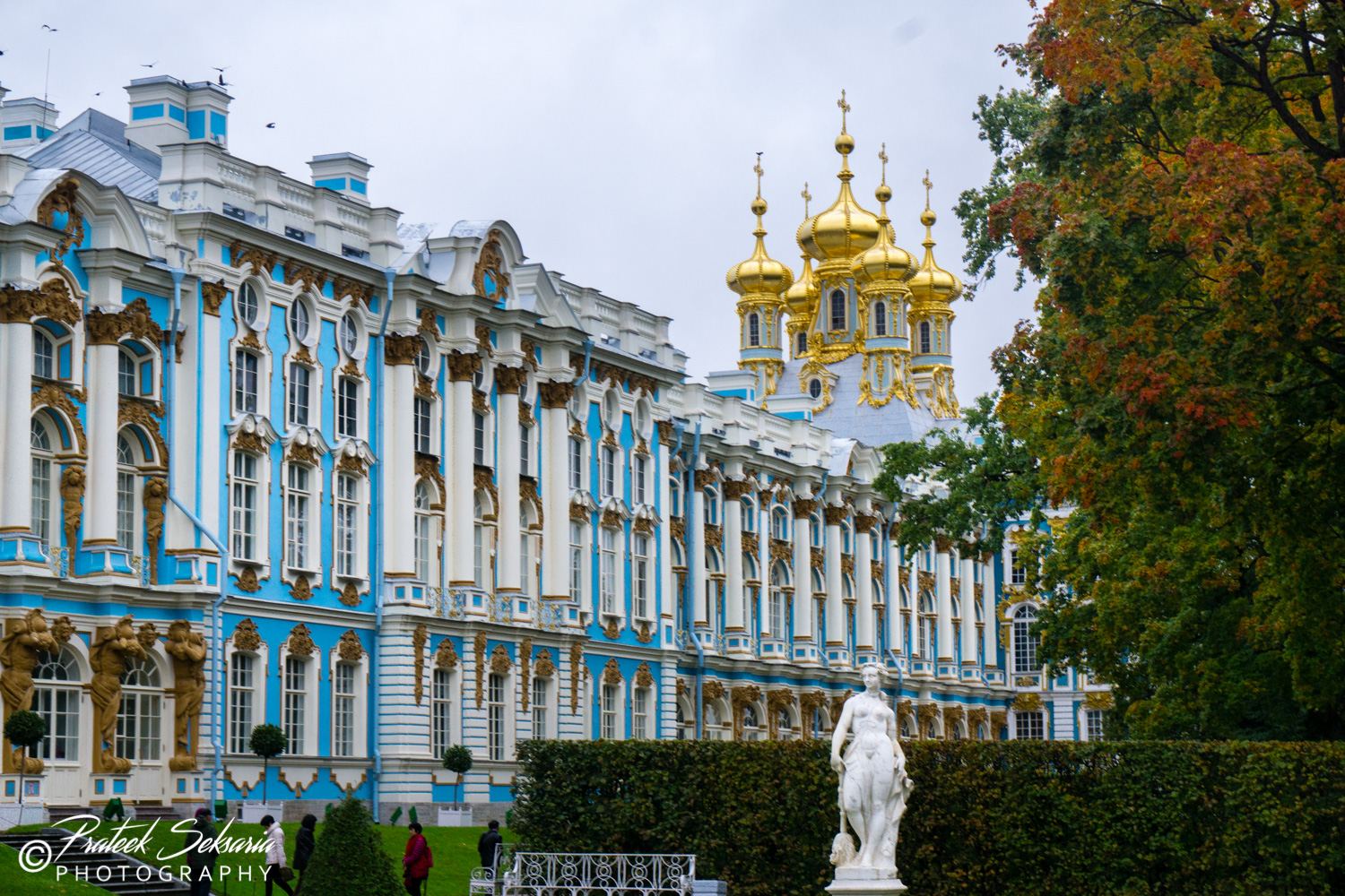 _DSC8080.jpg