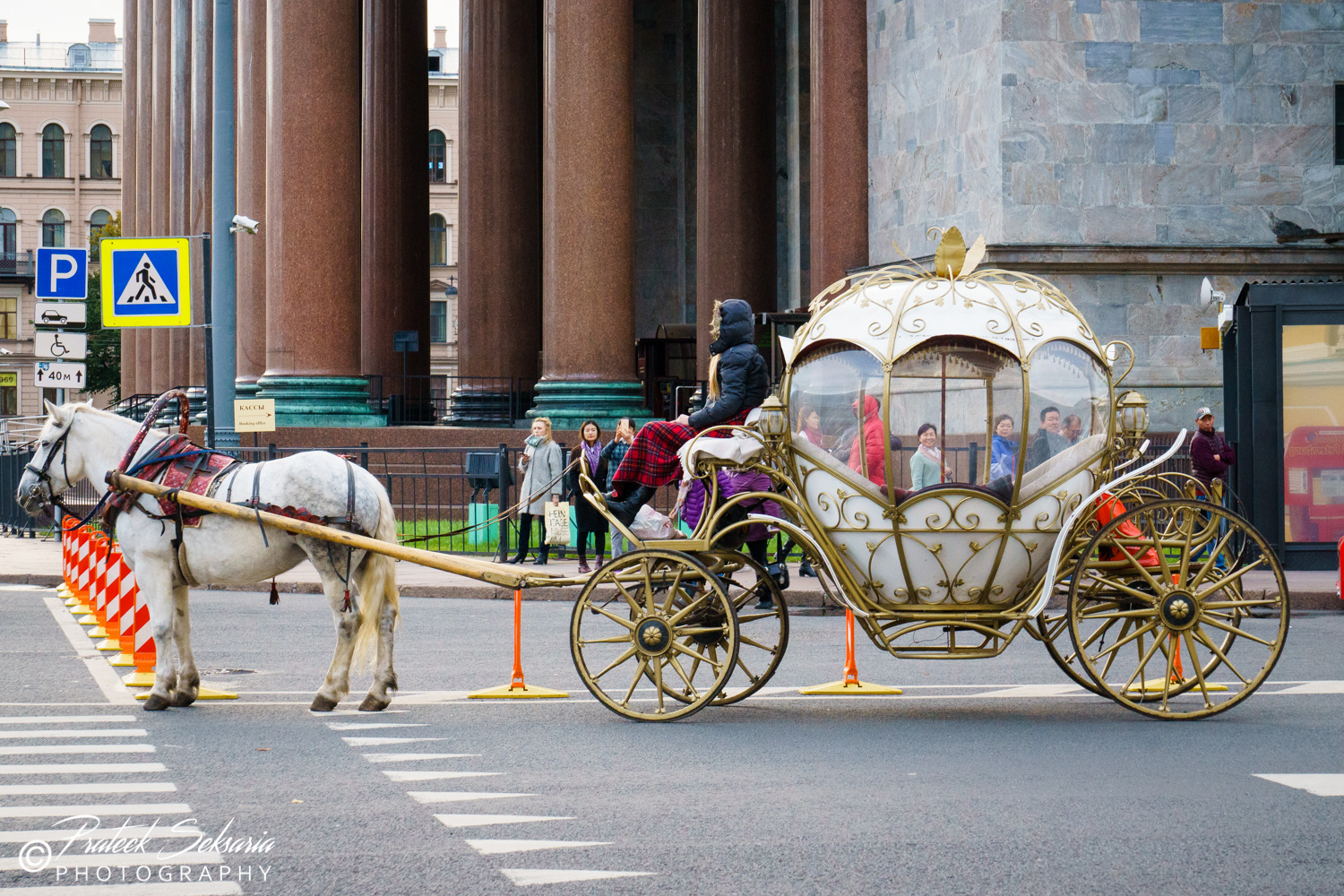 _DSC8203.jpg