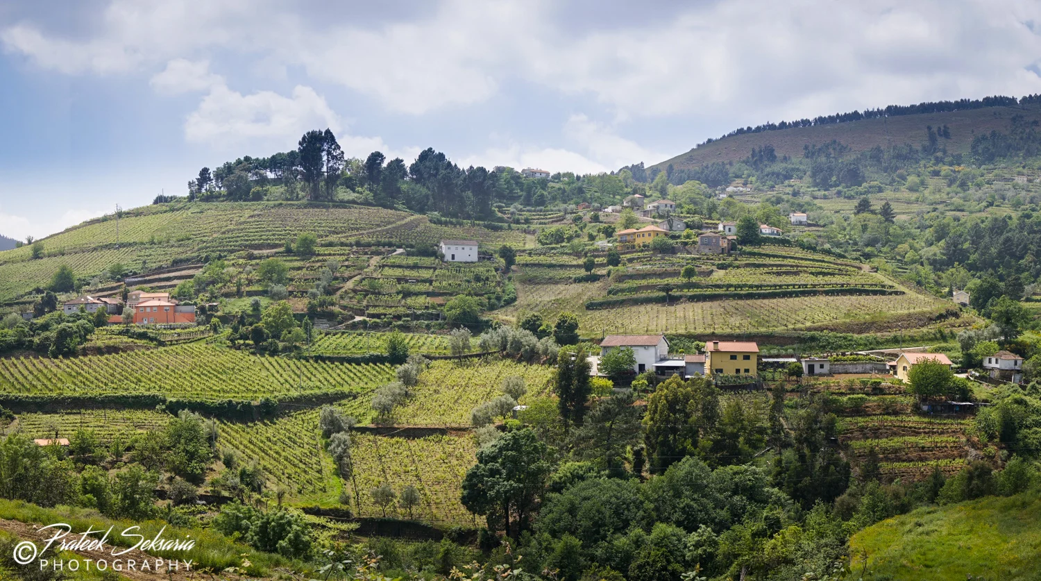 Alto Douro Wine Region