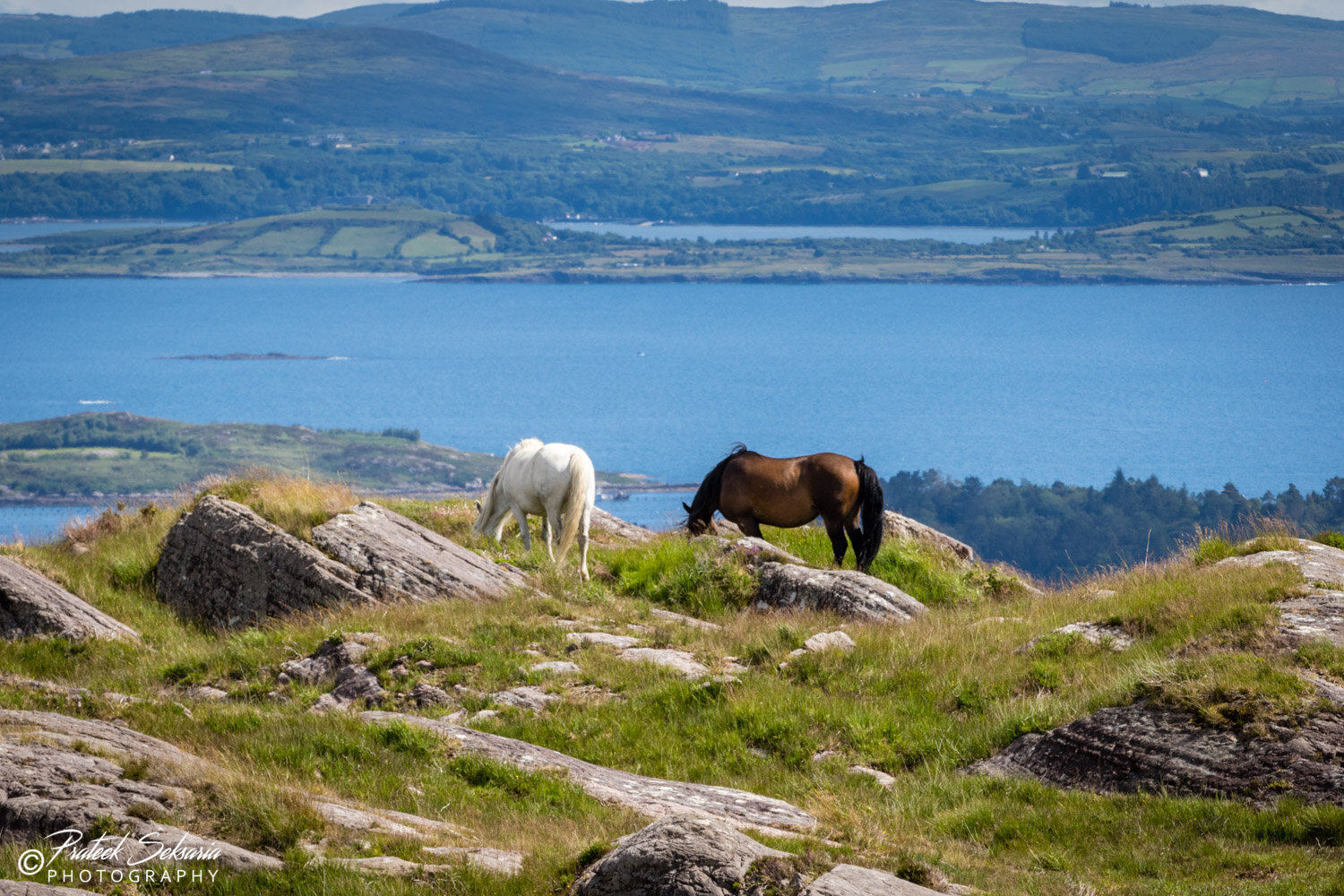 IRELAND-2486.jpg