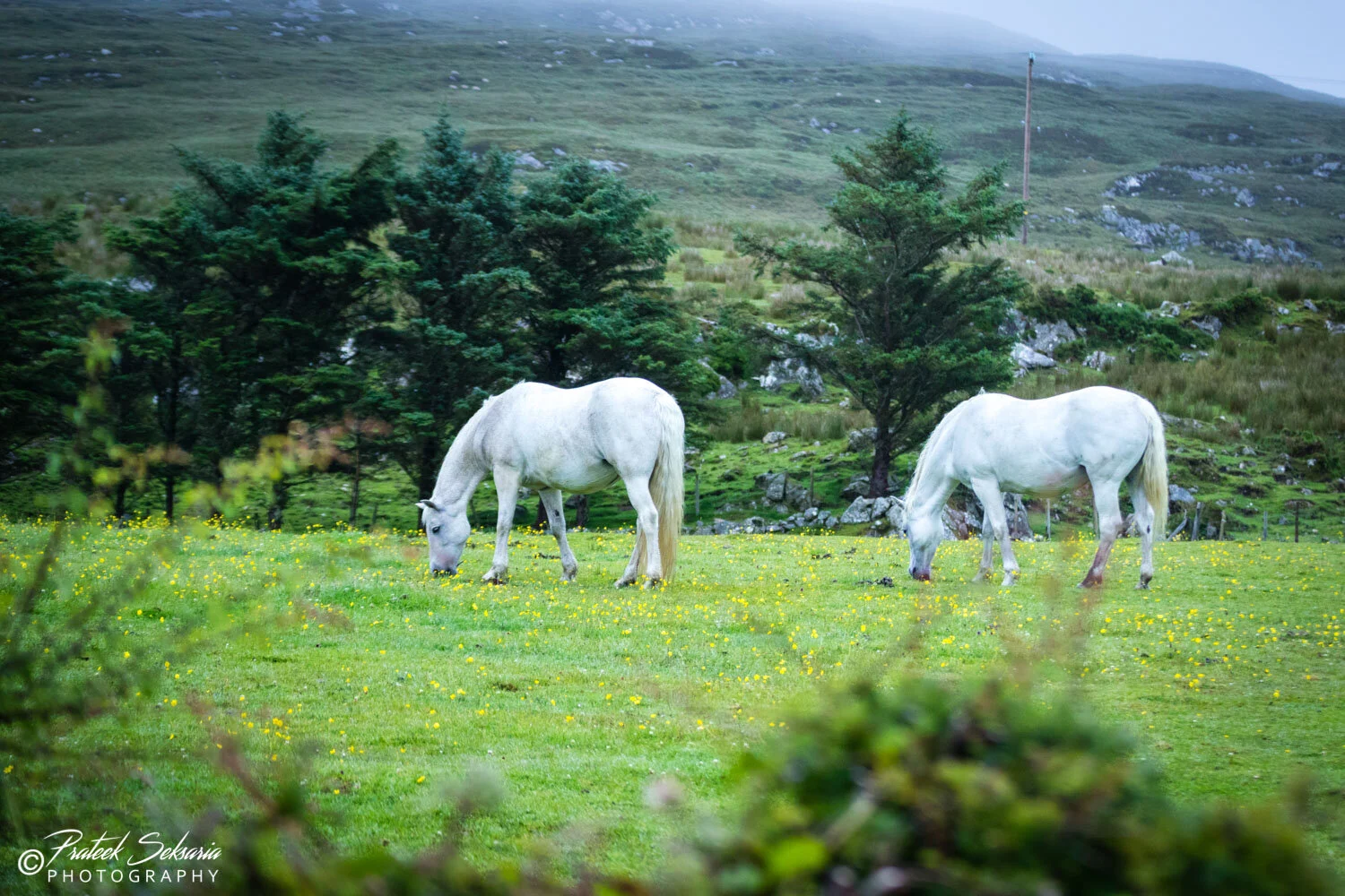IRELAND-2088.jpg