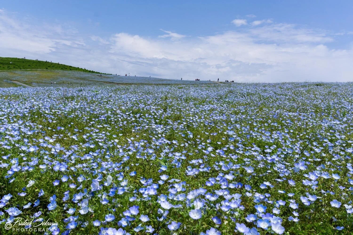 JAPAN-0980.jpg