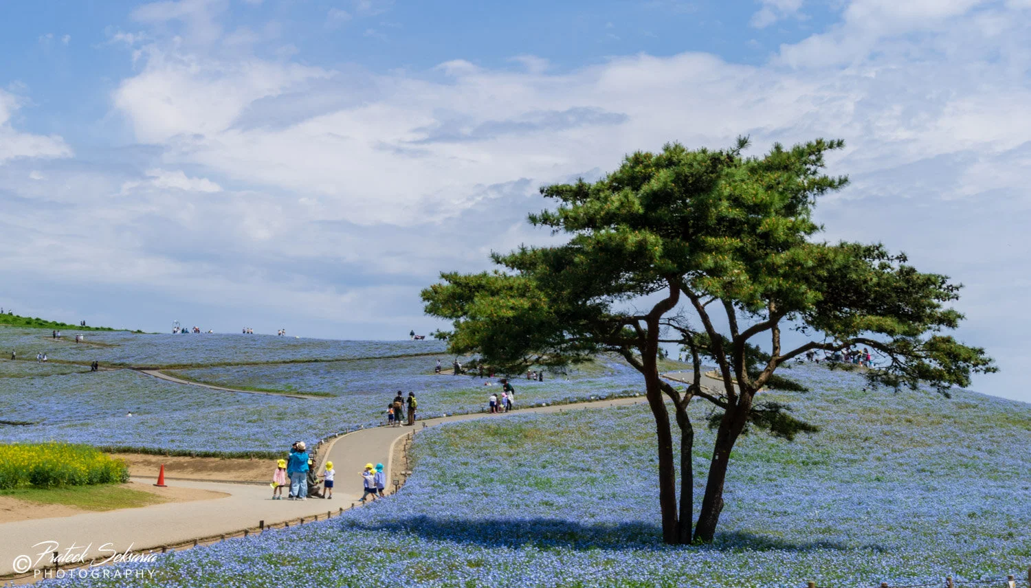 JAPAN-7911.jpg