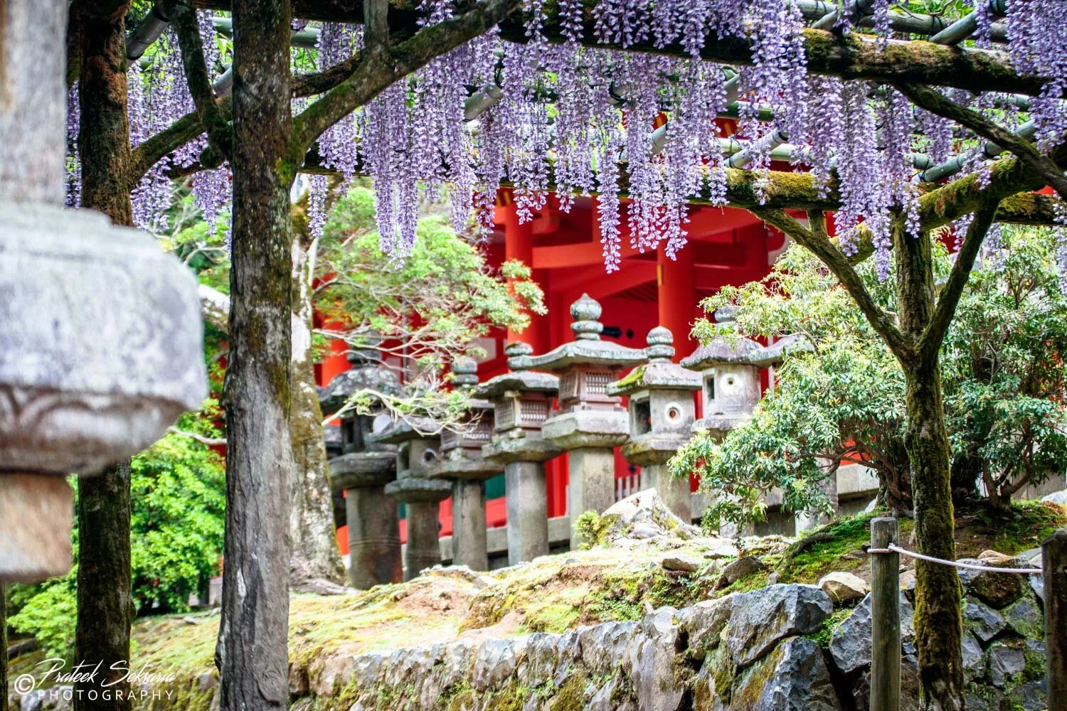 JAPAN-6851.jpg