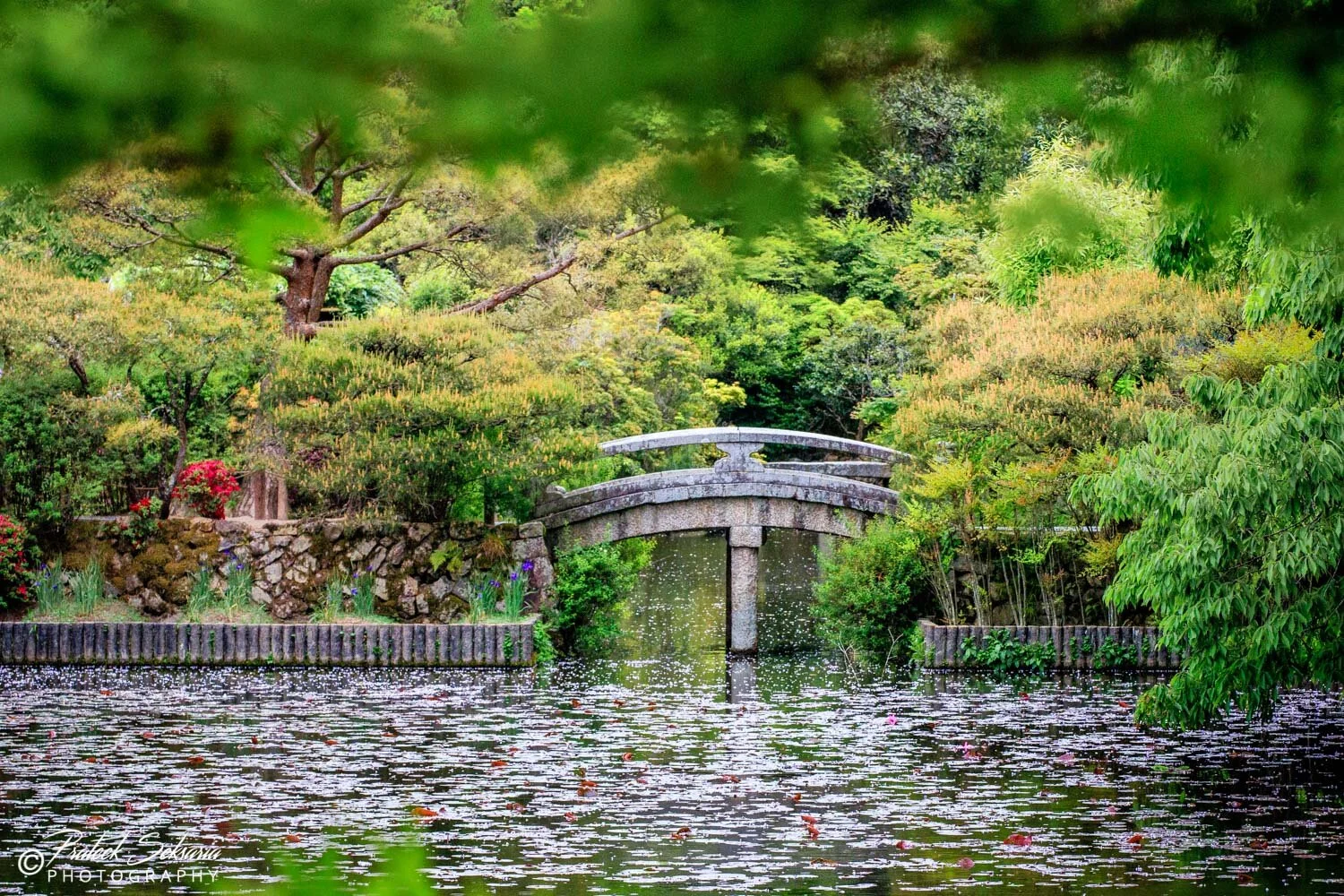 JAPAN-6441.jpg