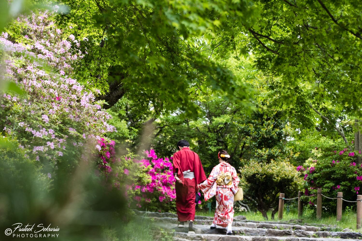 JAPAN-6284.jpg