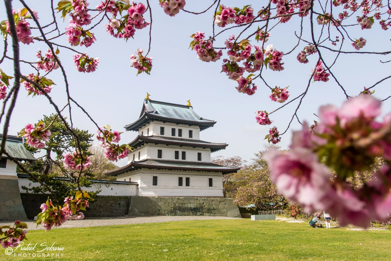 Matsumae Castle - "Fukuyama Castle"