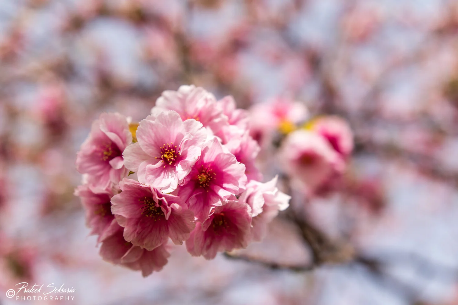 JAPAN-5813.jpg