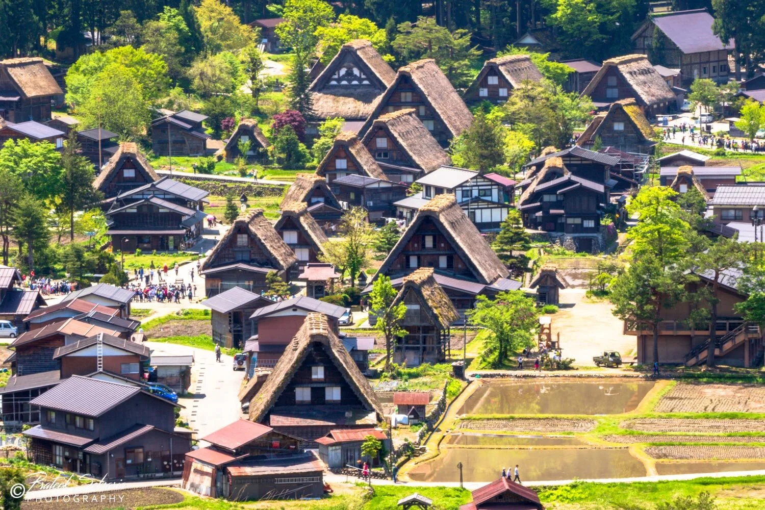 Japan-7568.jpg