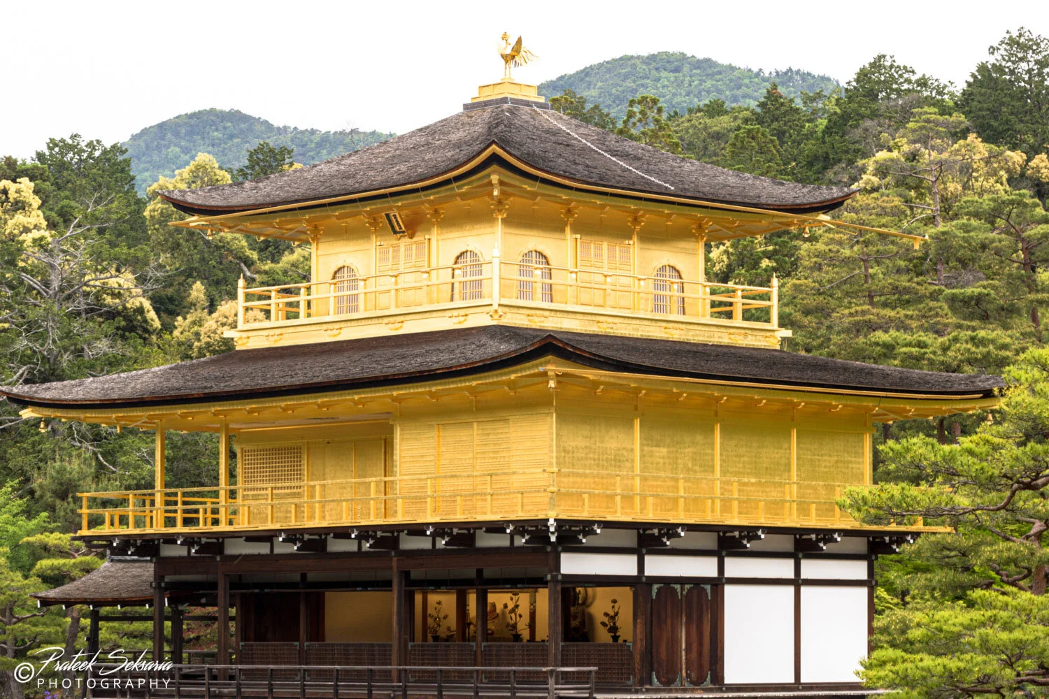 Japan-6409.jpg