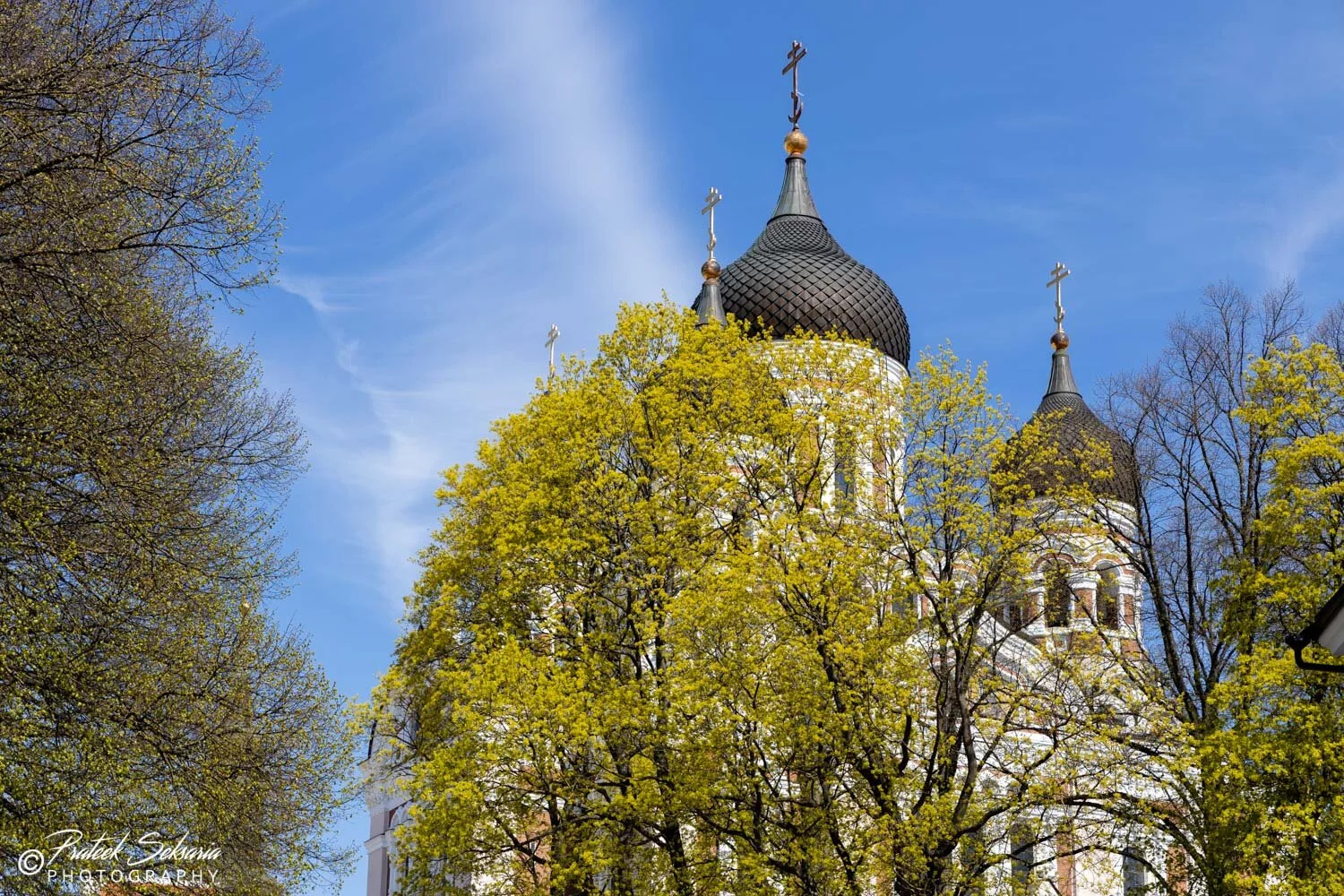 Tallinn-0575.jpg