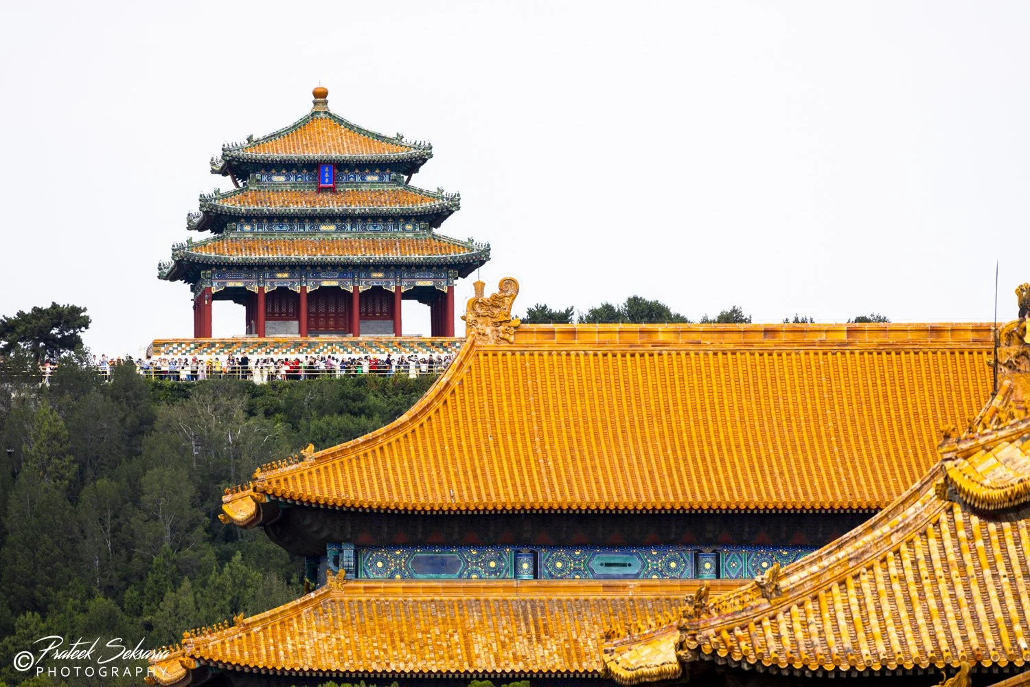 5C3A6226.jpg