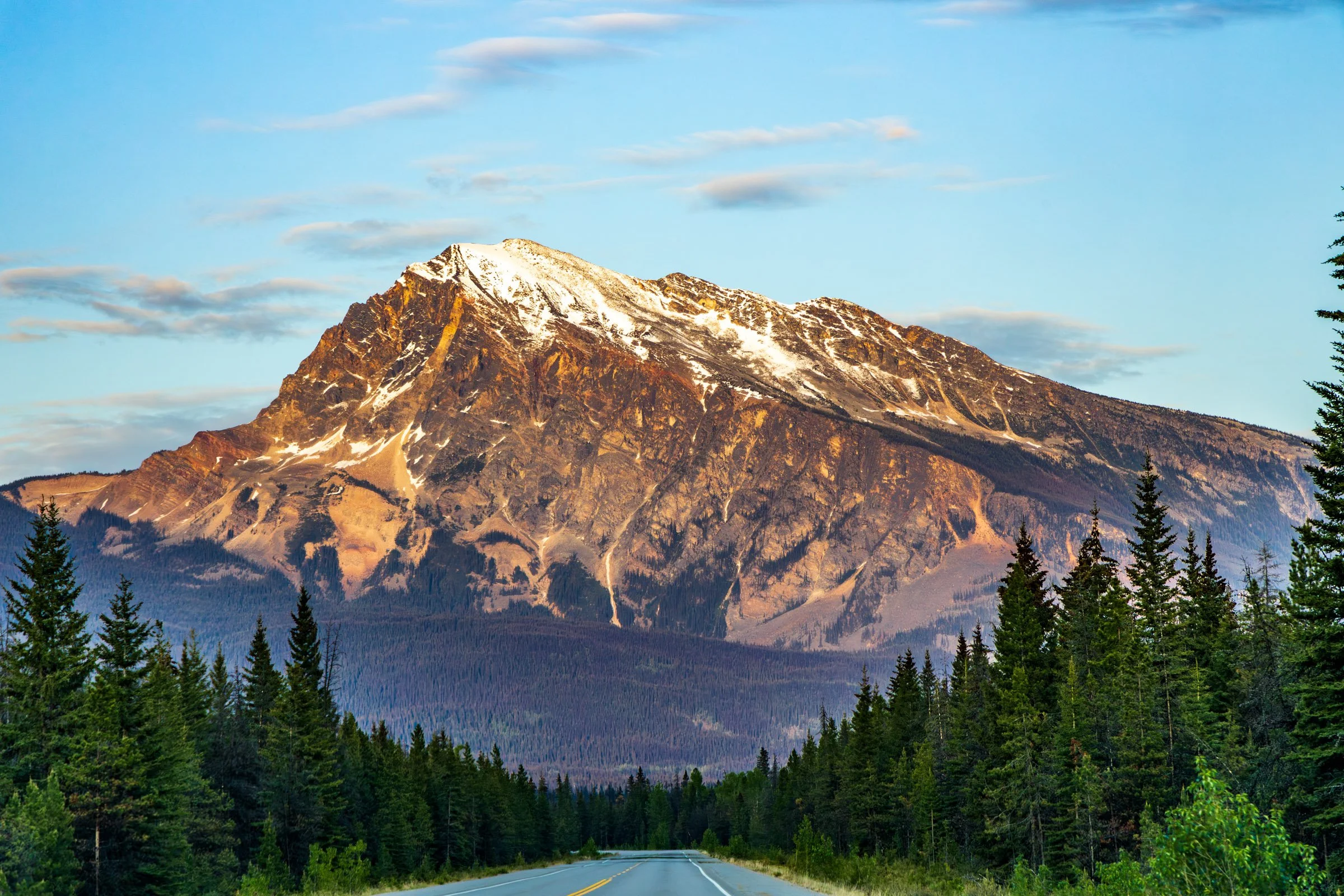 5C3A4780-Enhanced-NR.jpg