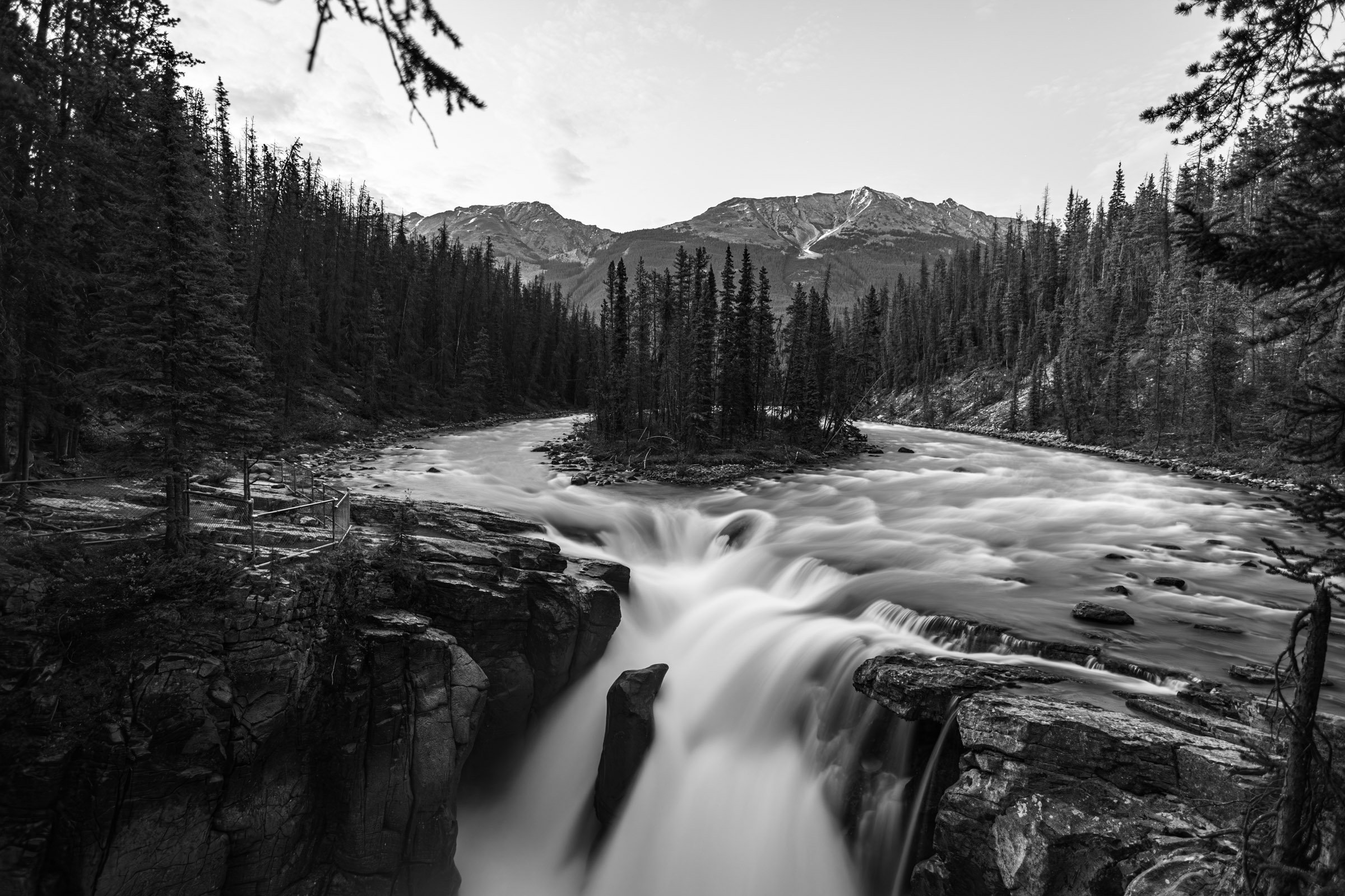 5C3A4846-Enhanced-NR.jpg