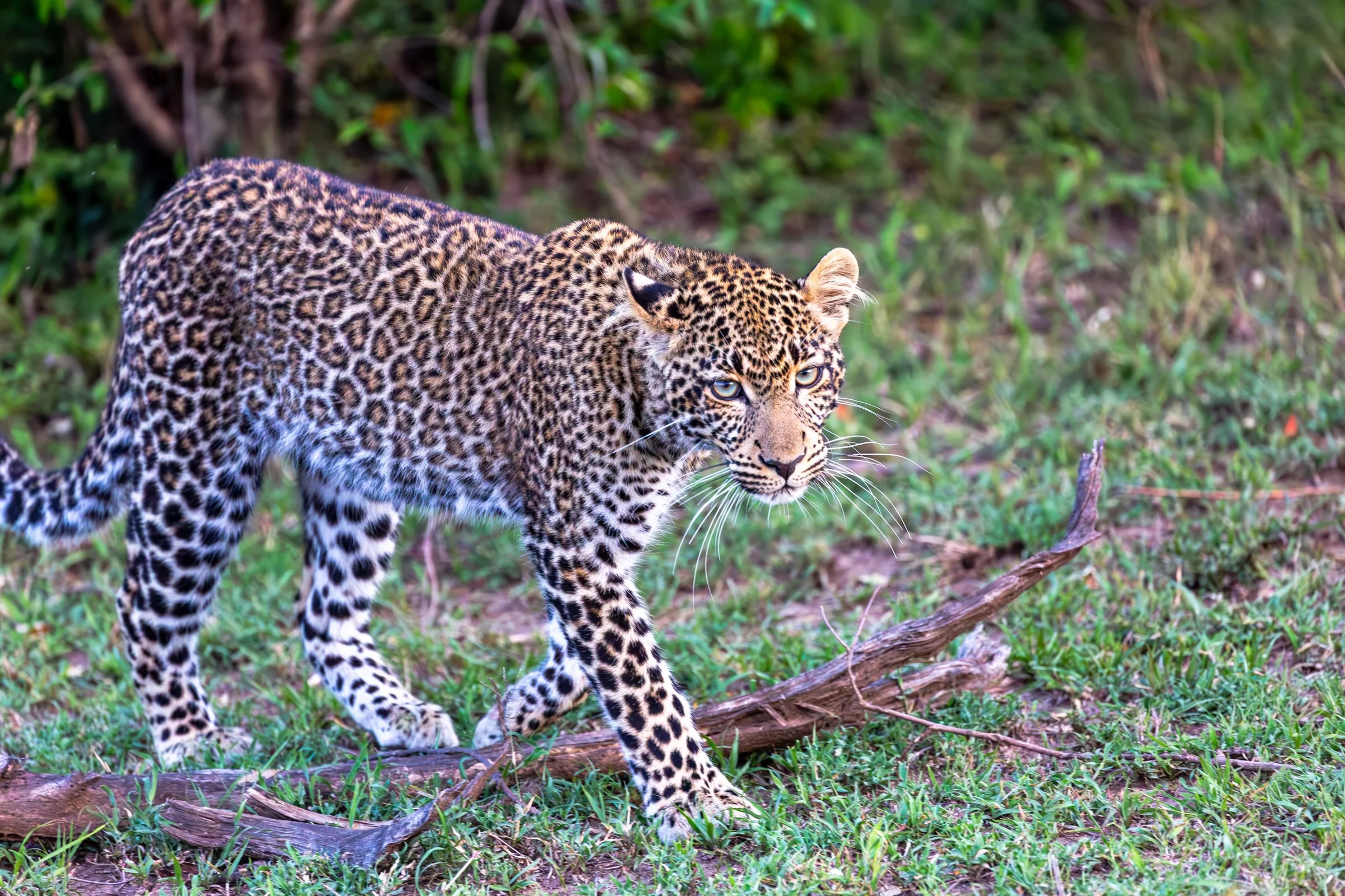 6D0B5872-Enhanced-NR.jpg