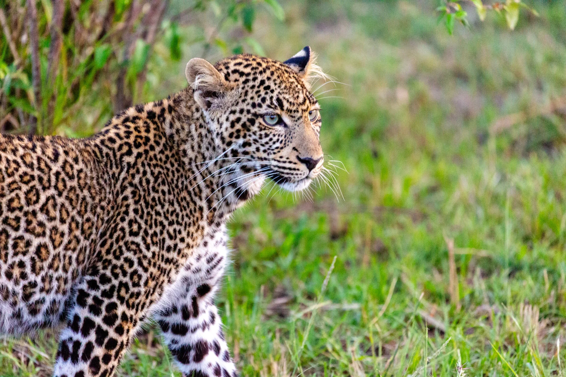_D0B5876.jpg