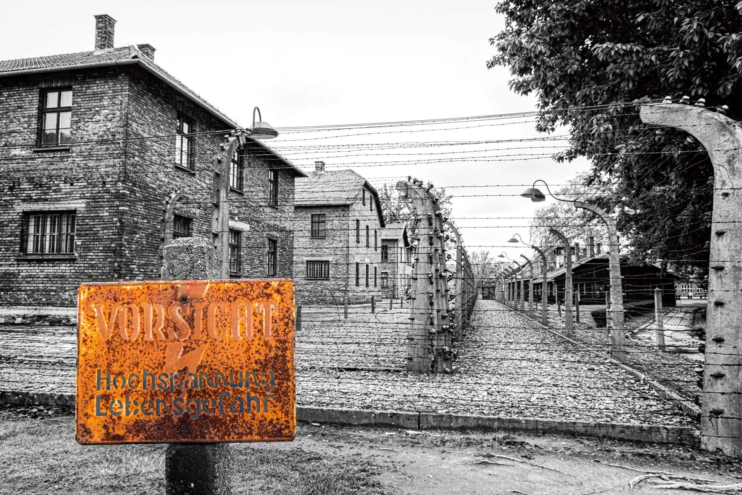 _C3A1898-Edit-Edit.jpg