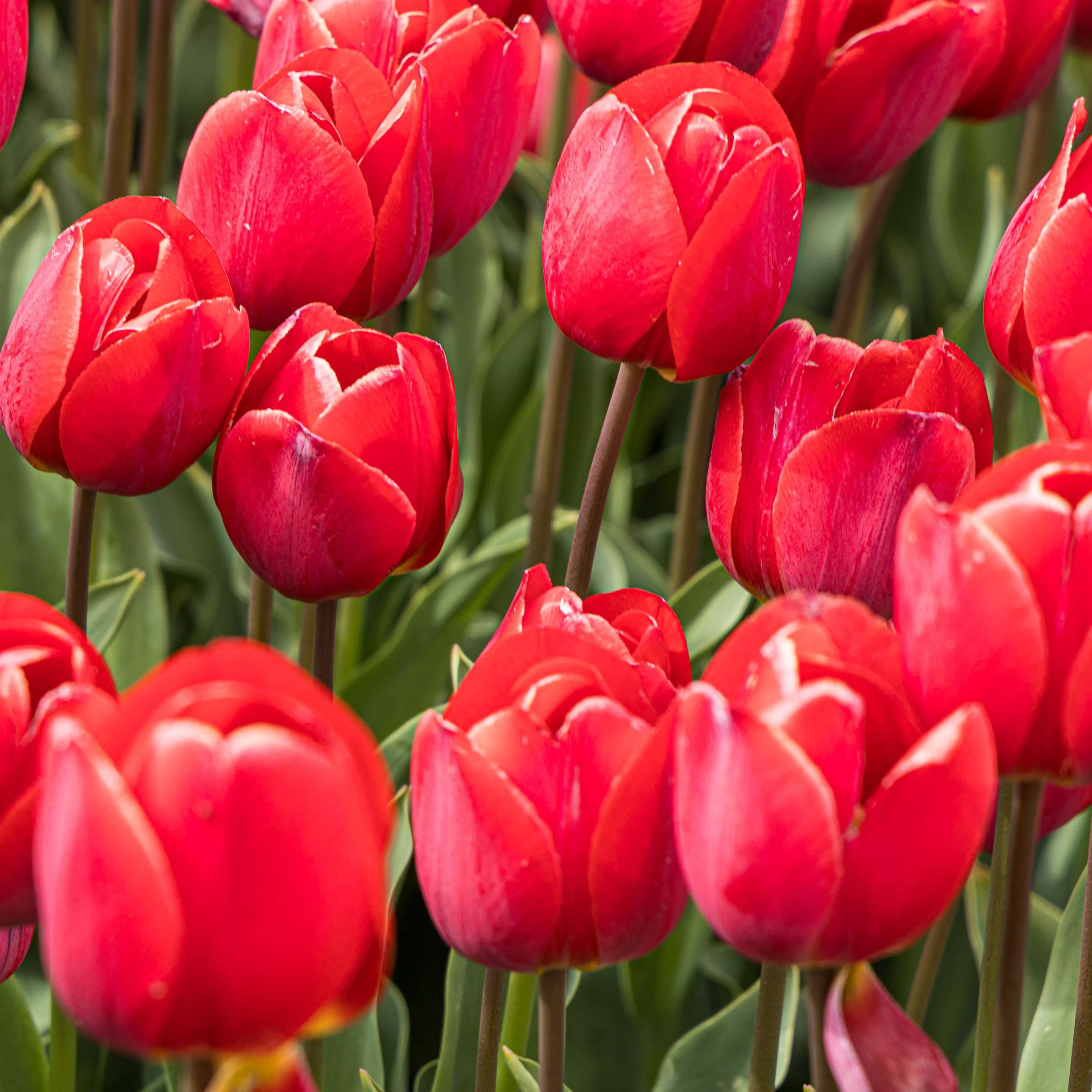 5C3A0137-Enhanced-SR.jpg