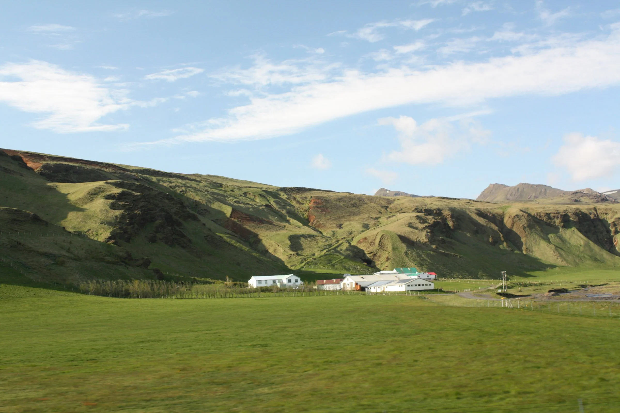 IMG_9947.jpg