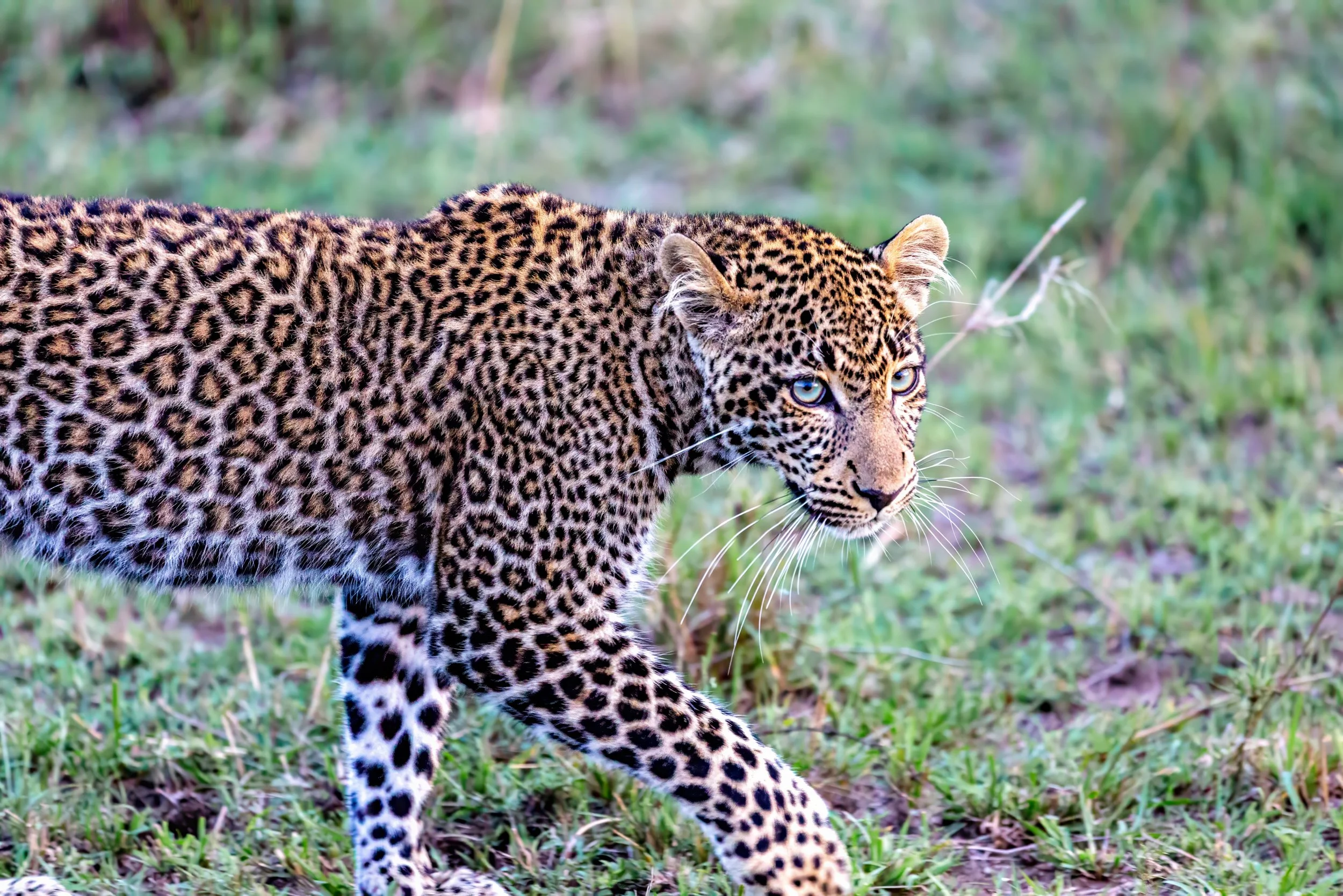 6D0B5875-Edit.jpg
