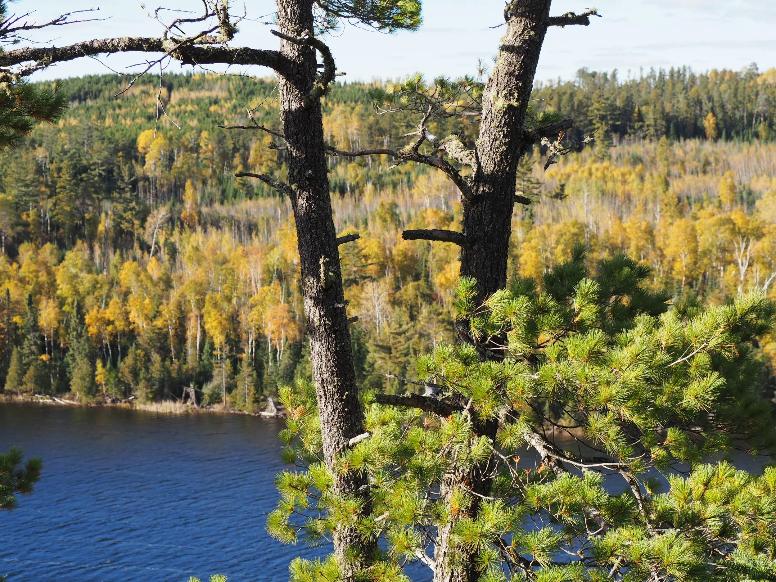 PA030146.JPG