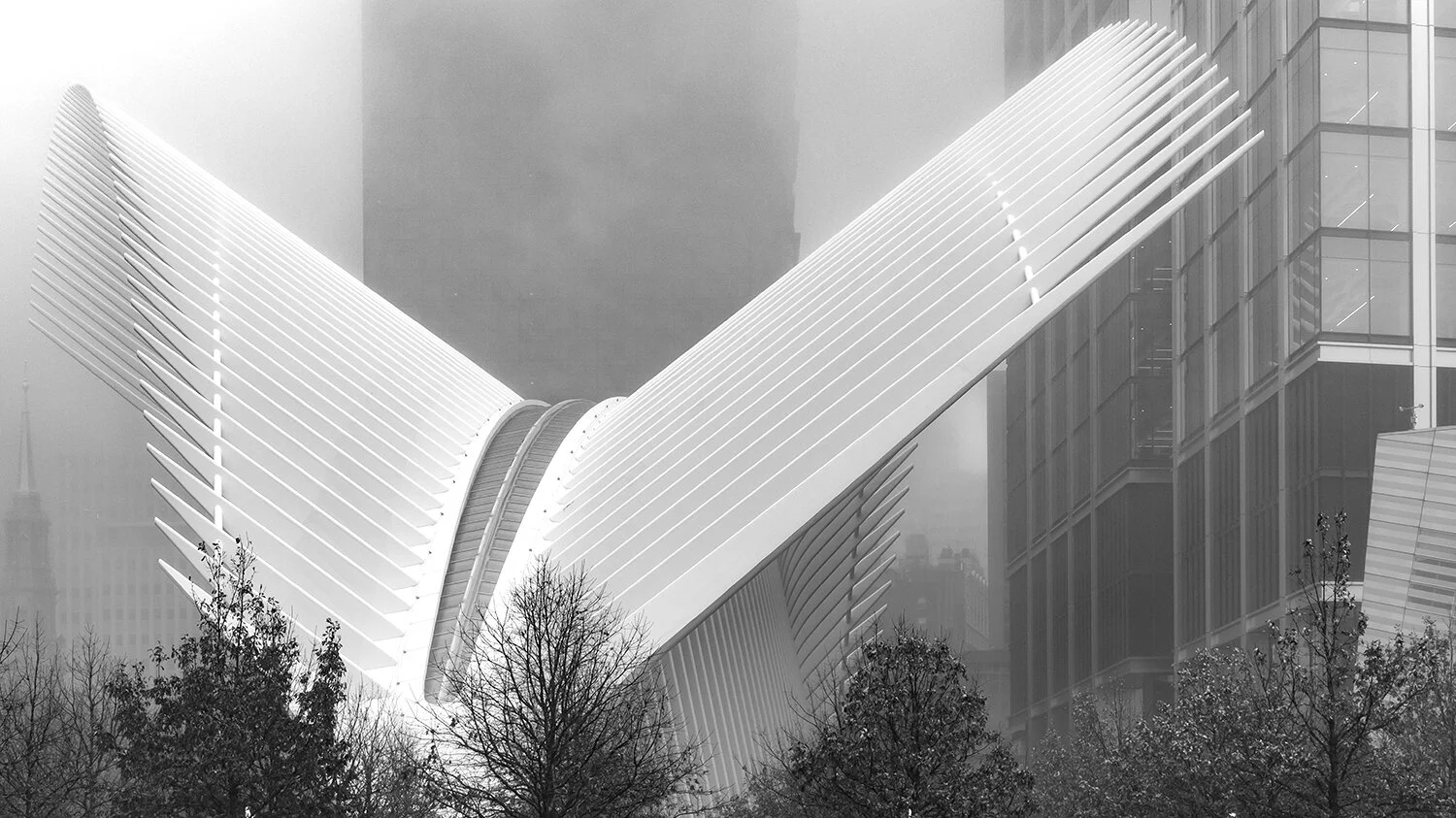 5_DSC0240_white bird mist_channel mixer.jpg