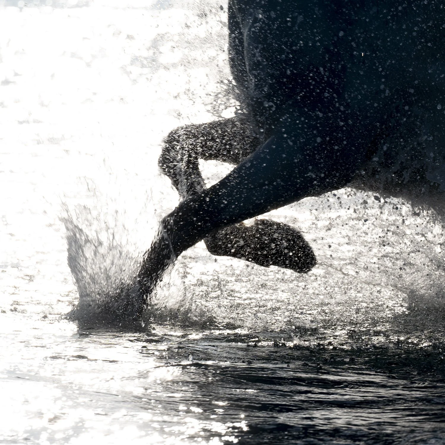 _DSC7094 crop_web.jpg