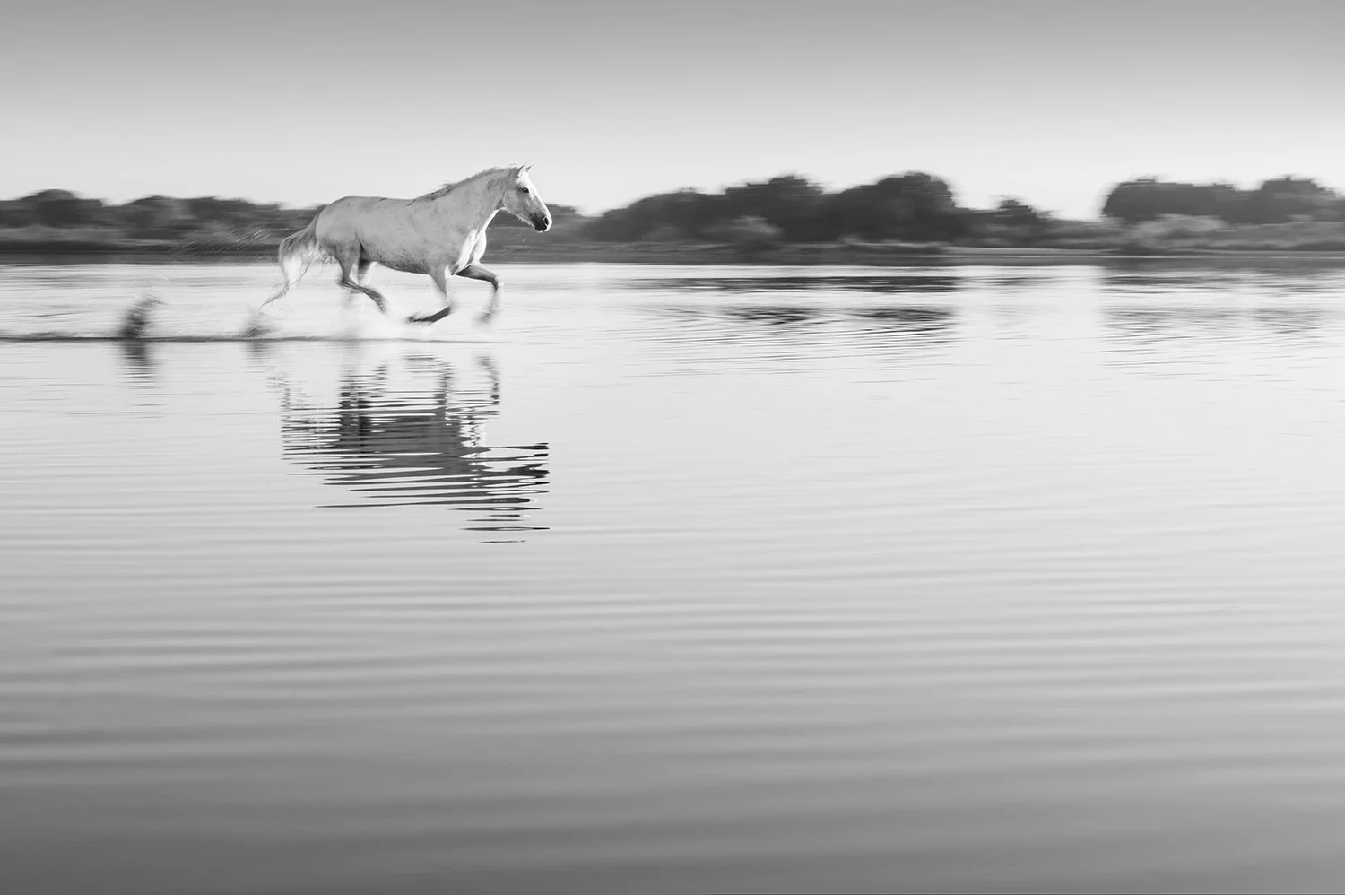 _DSC6908_step 2_crop A_web.jpg