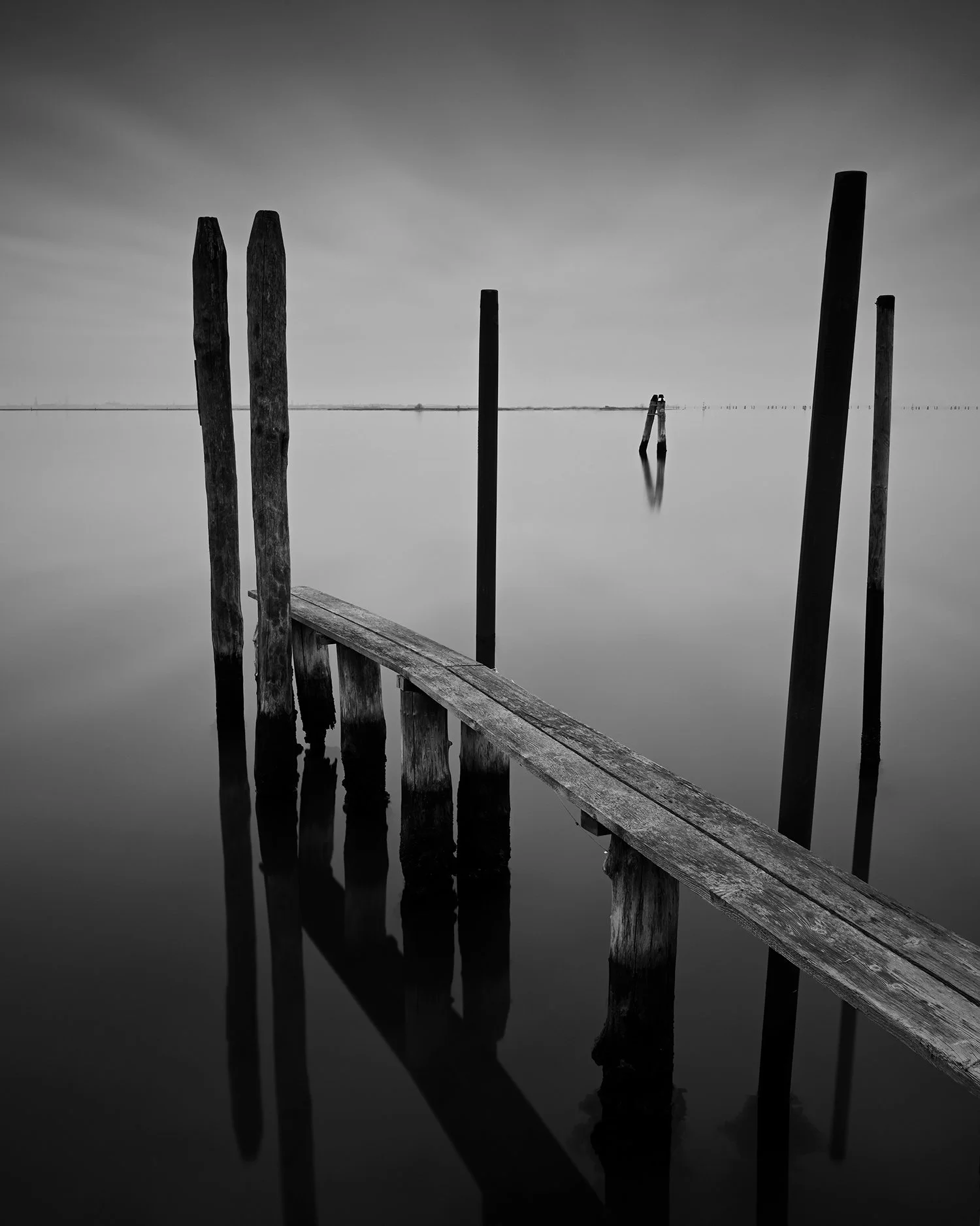 _DSC3236 Final_web.jpg