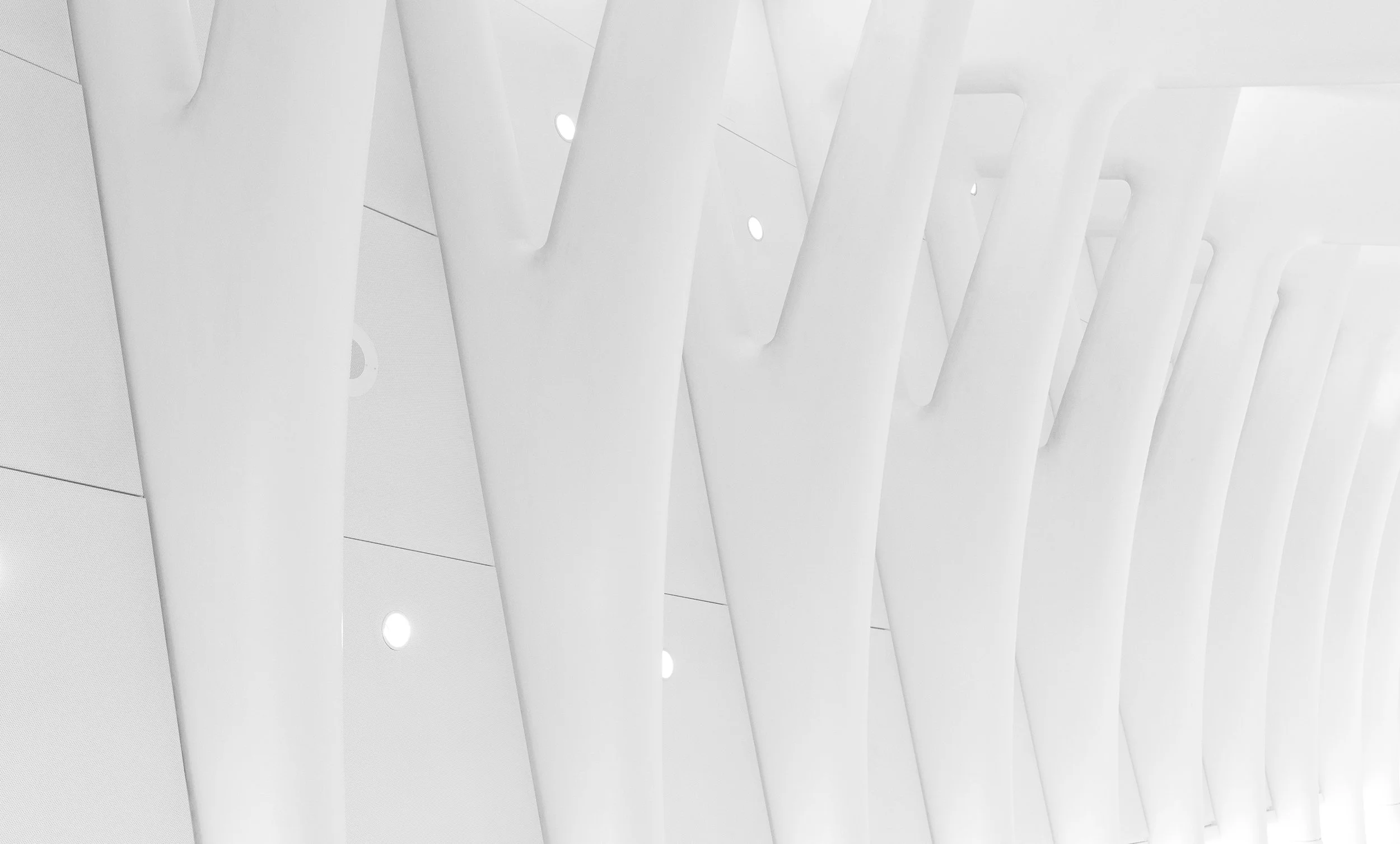 _DSC0135 remove sprinkers web.jpg