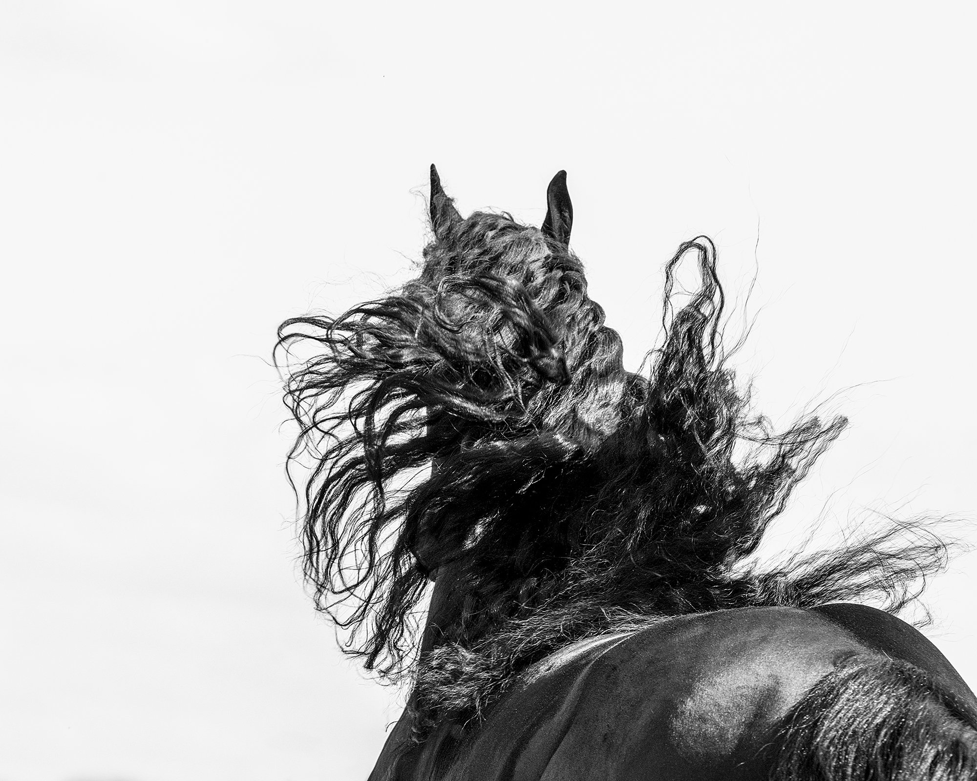 DSC_1942 step 2_blur2shpm_set white point_squarespace.jpg