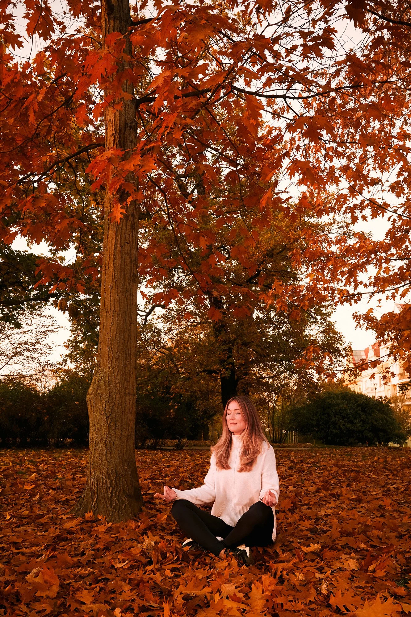 9_8042_original_web size.jpg