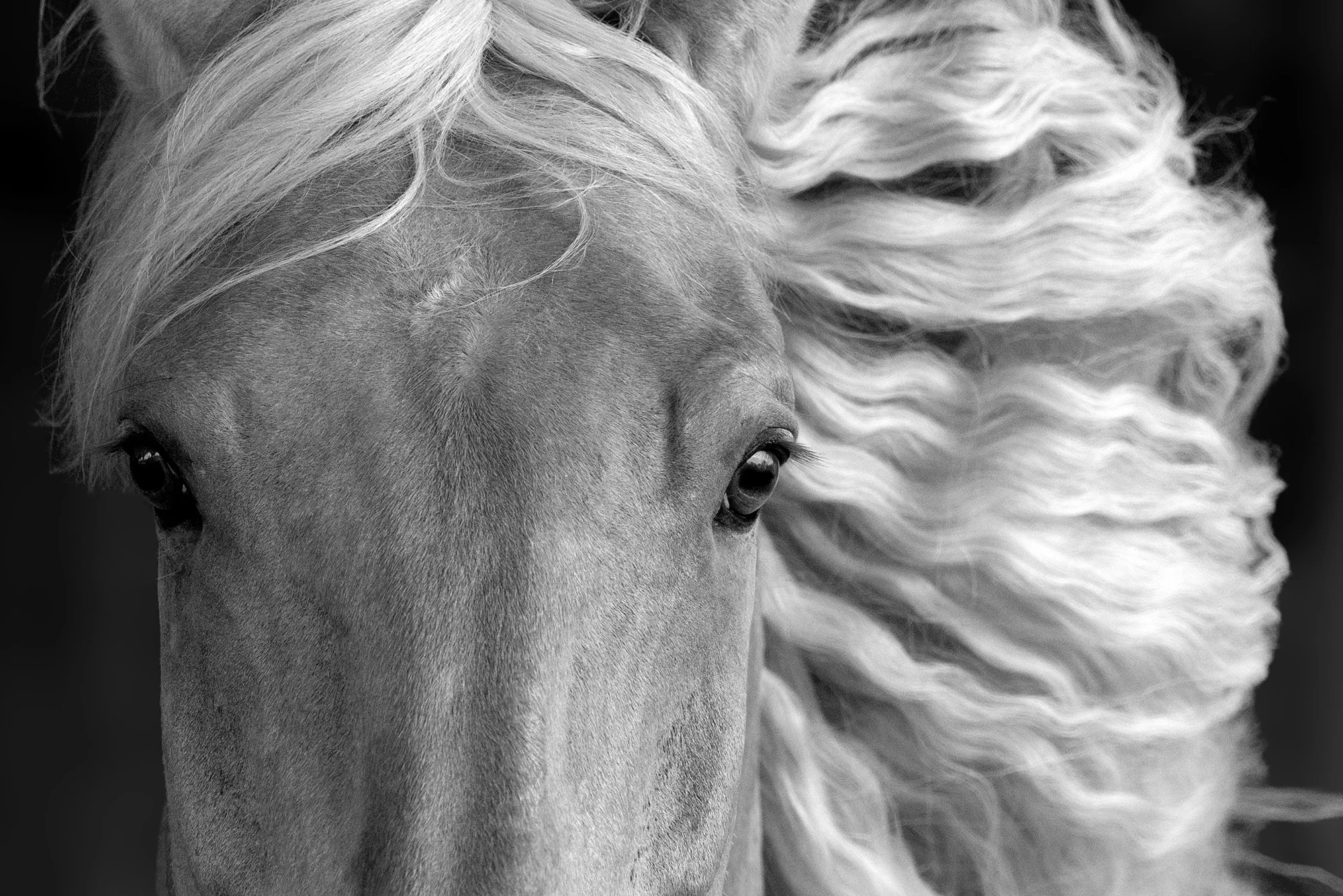 _DSC7551 horizonta_squarespace.jpg