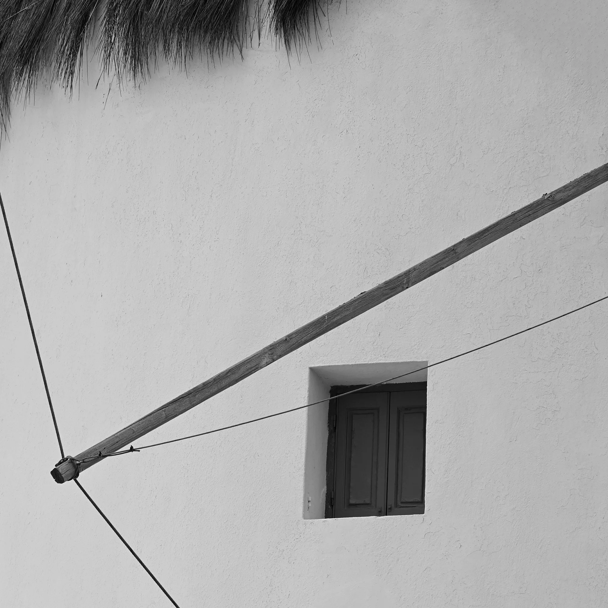3_DSC2022 cleaned up IG.jpg